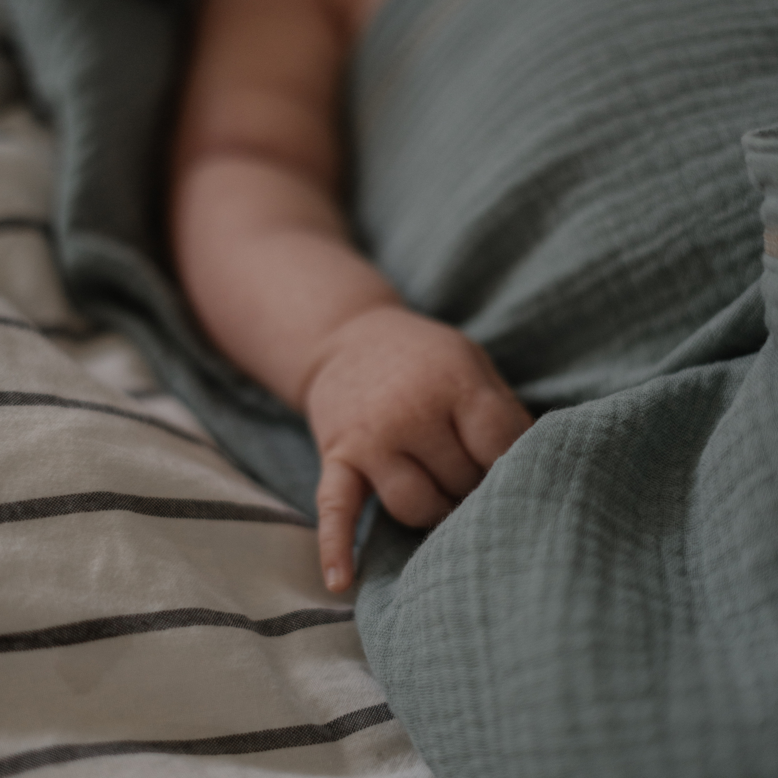 Леся, Александр и Матильда — семейная съемка