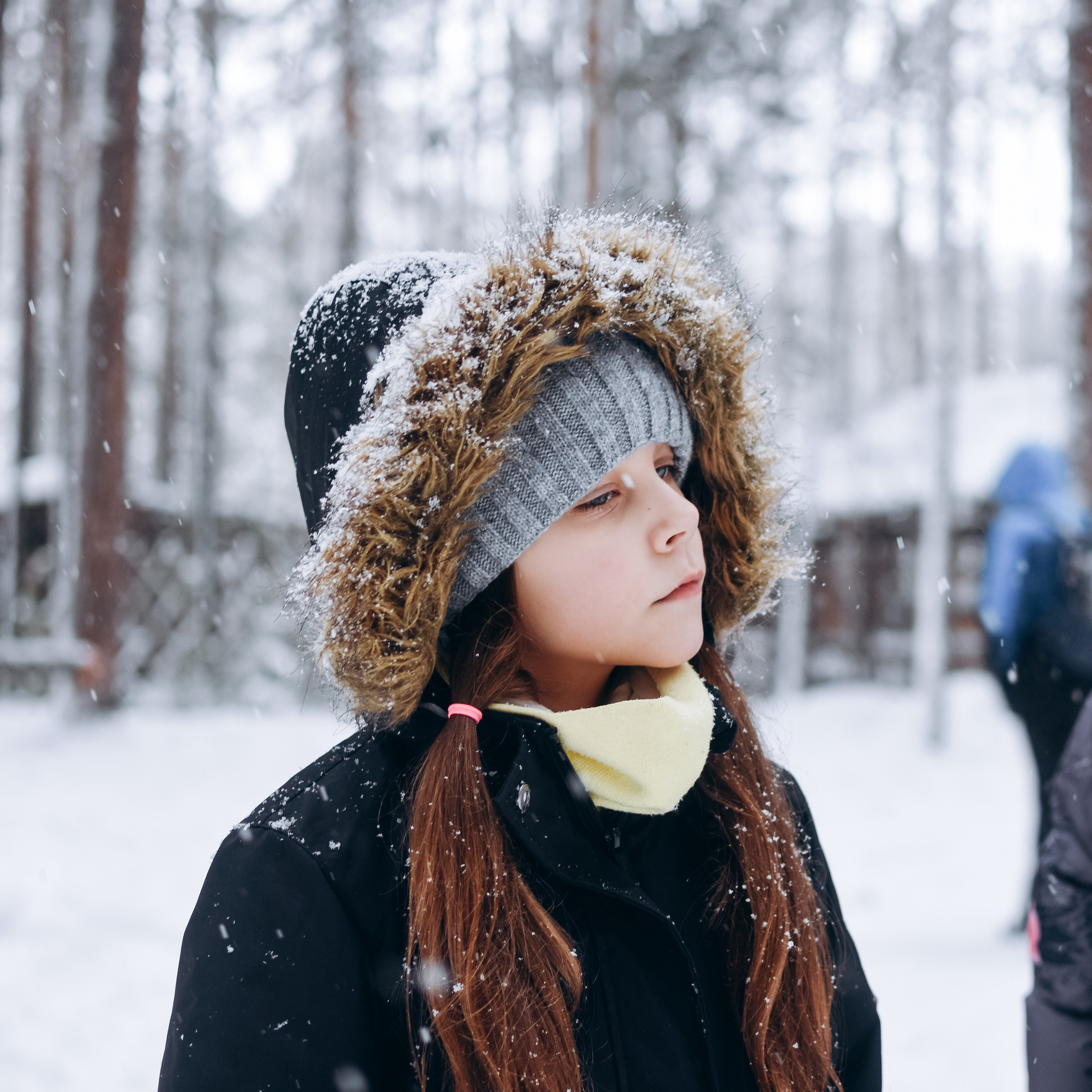 Новый год в лесу
