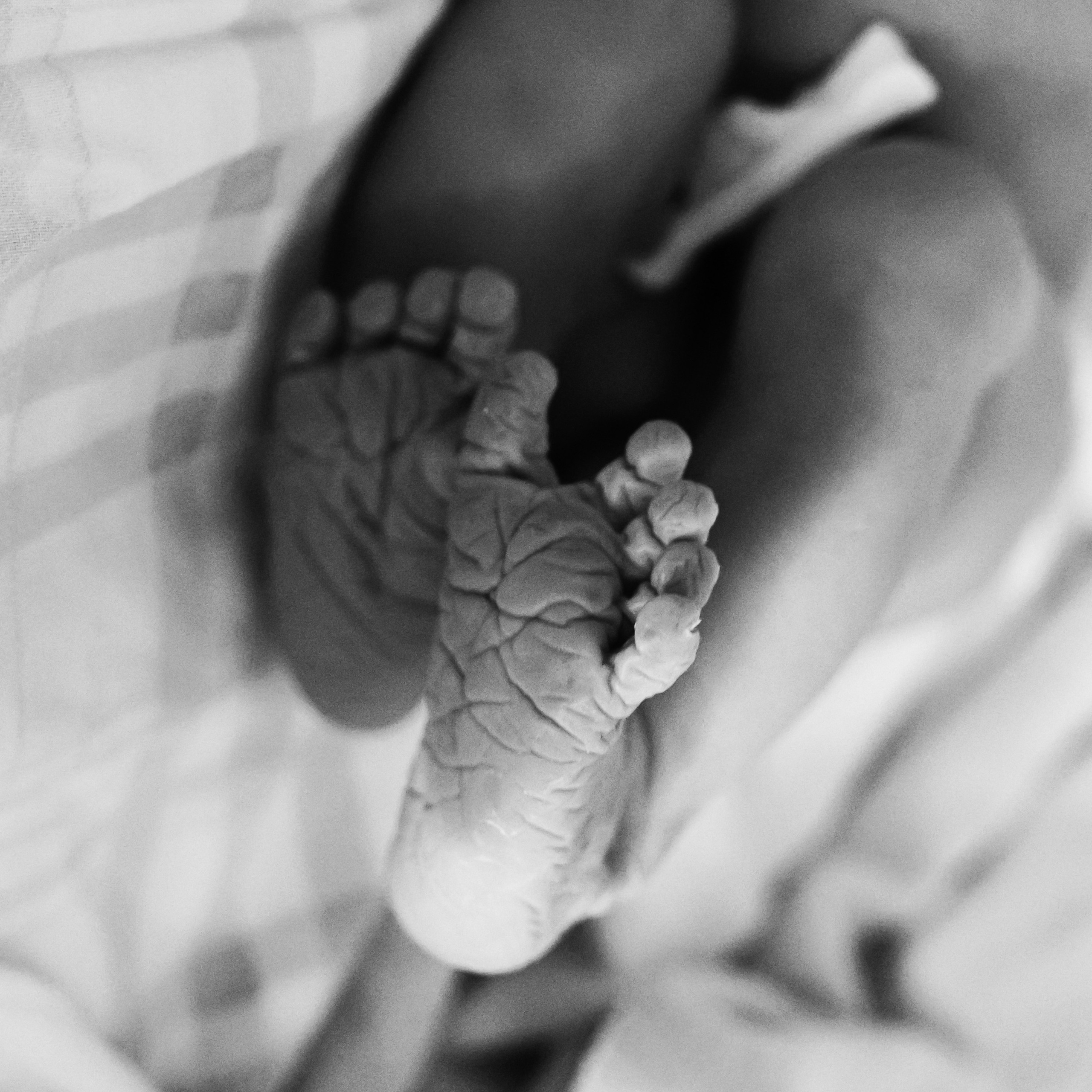 Отзывы о фотографе Настасья Сергеева. Фотограф на роды и ньюборн в Санкт-Петербурге | Настасья Сергеева