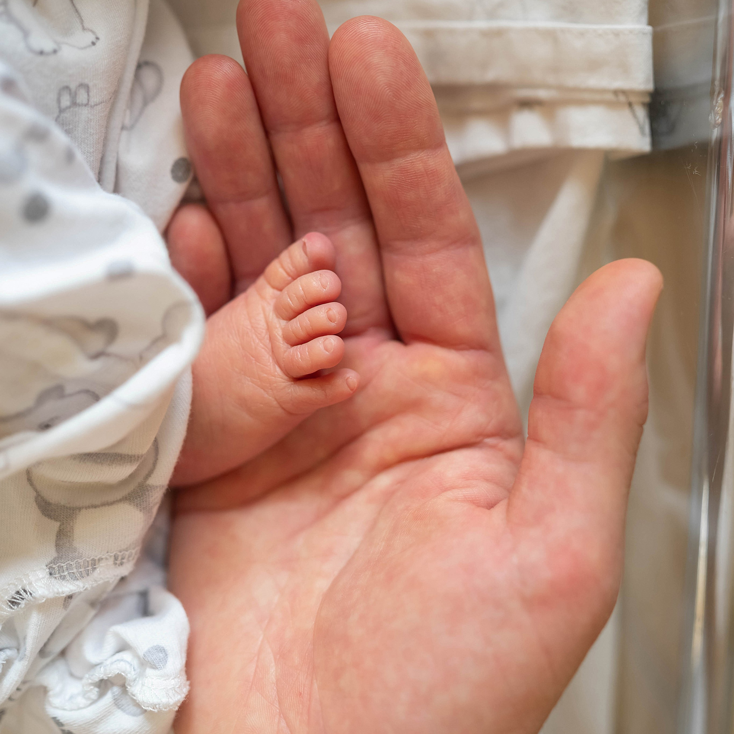 Отзывы о фотографе Настасья Сергеева. Фотограф на роды и ньюборн в Санкт-Петербурге | Настасья Сергеева