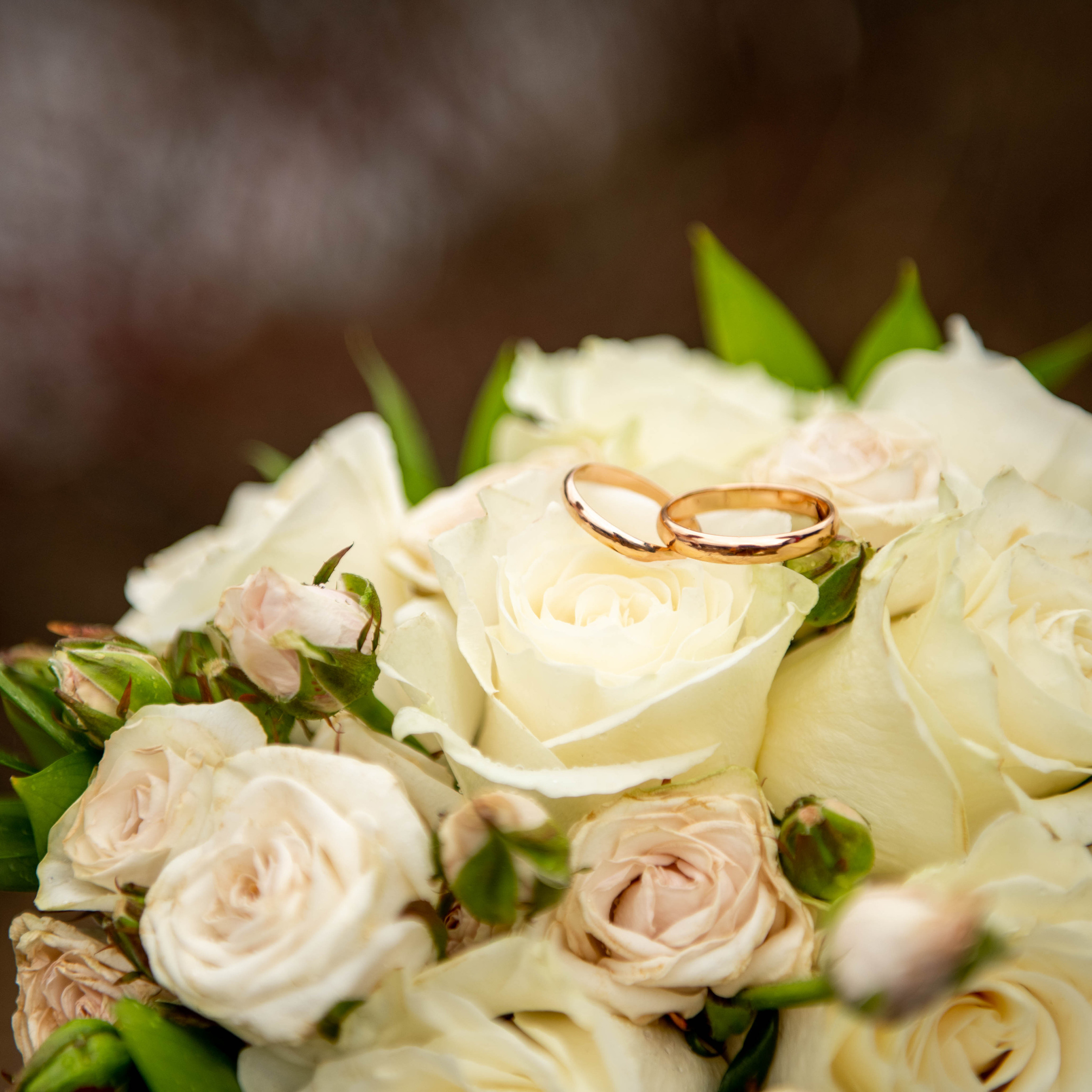 Отзывы. Семейный и детский фотограф Татьяна Перевалова