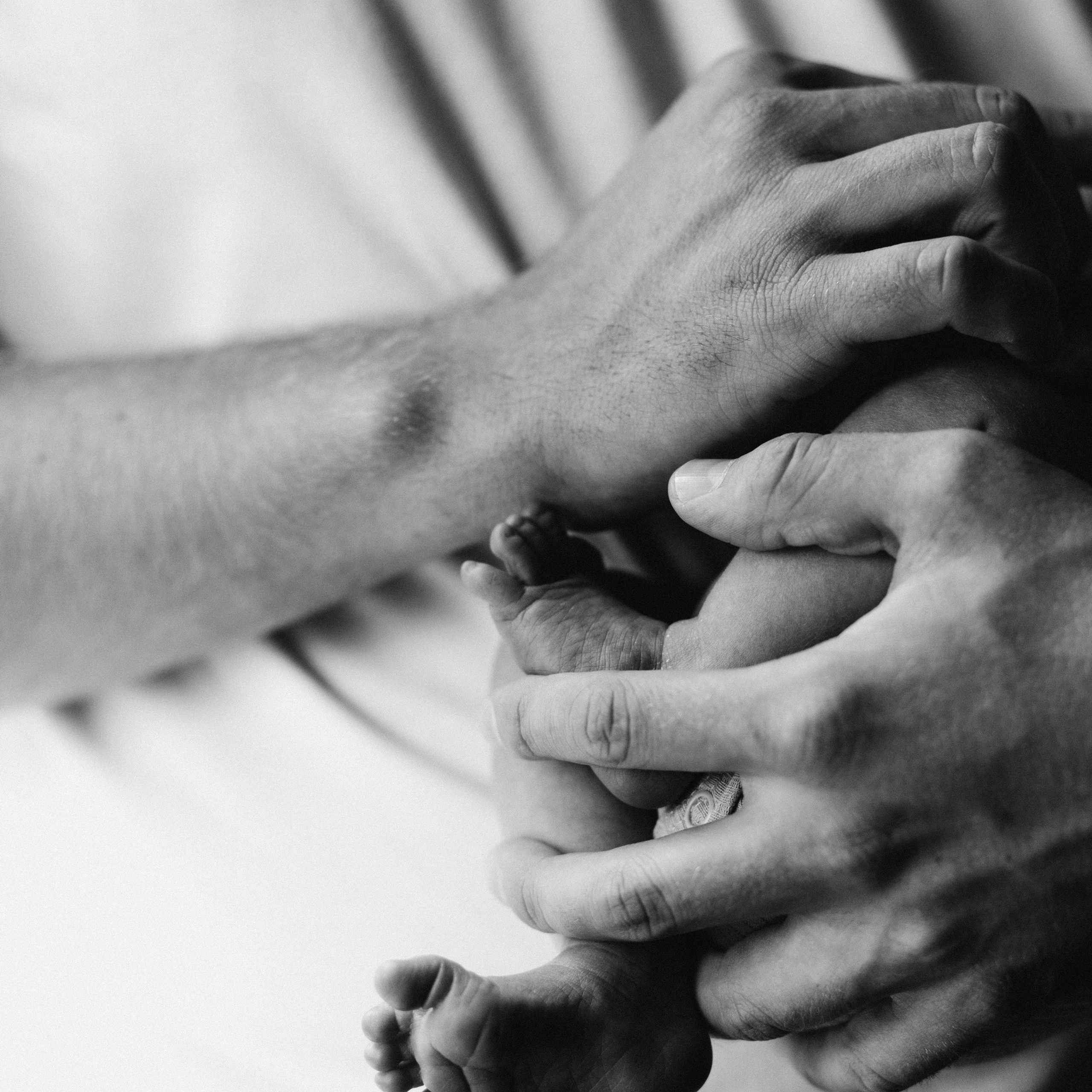 Нью борн домашняя