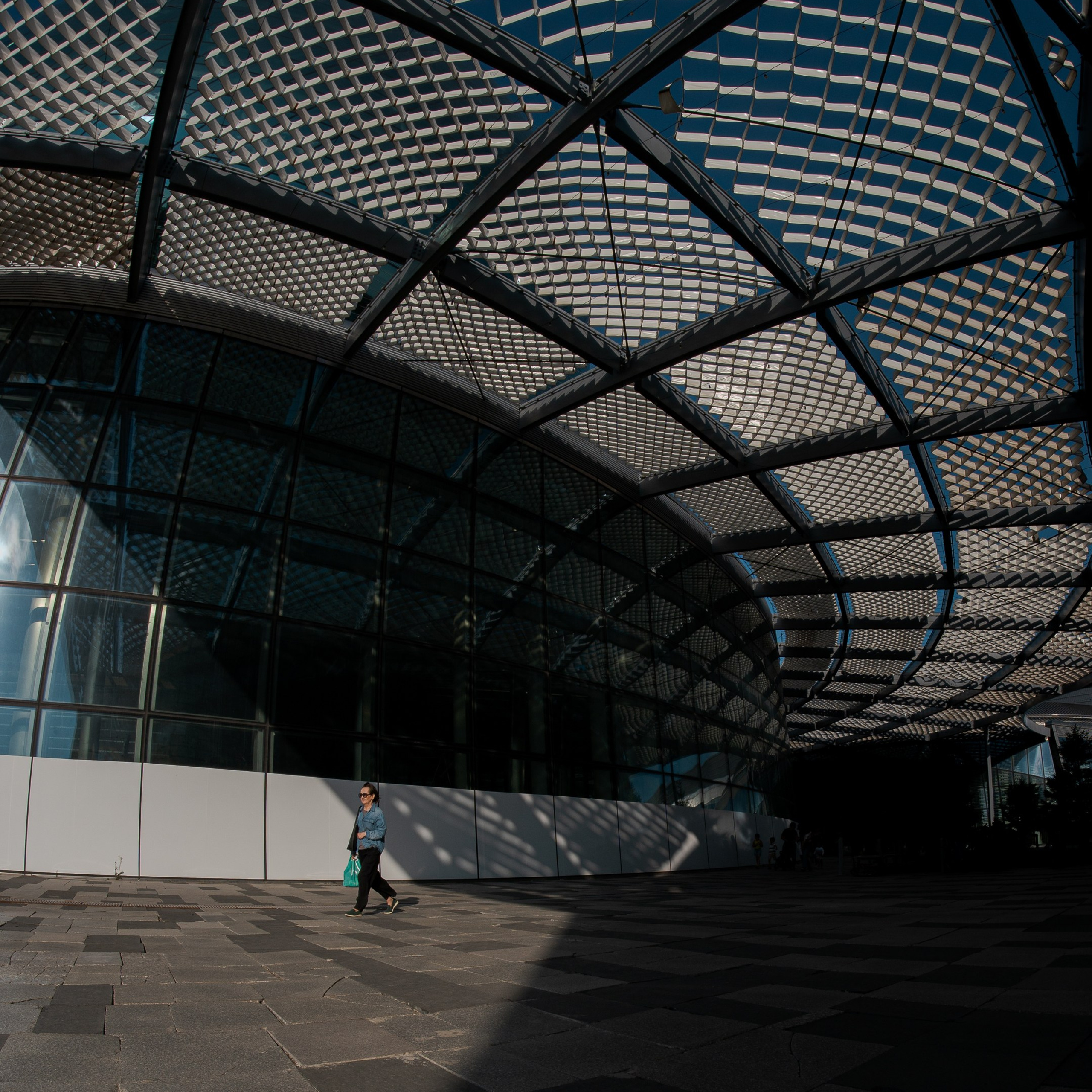 Обзор Brightin Star 7.5 mm f/2.8 Fisheye: бюджетный фишай для творчества