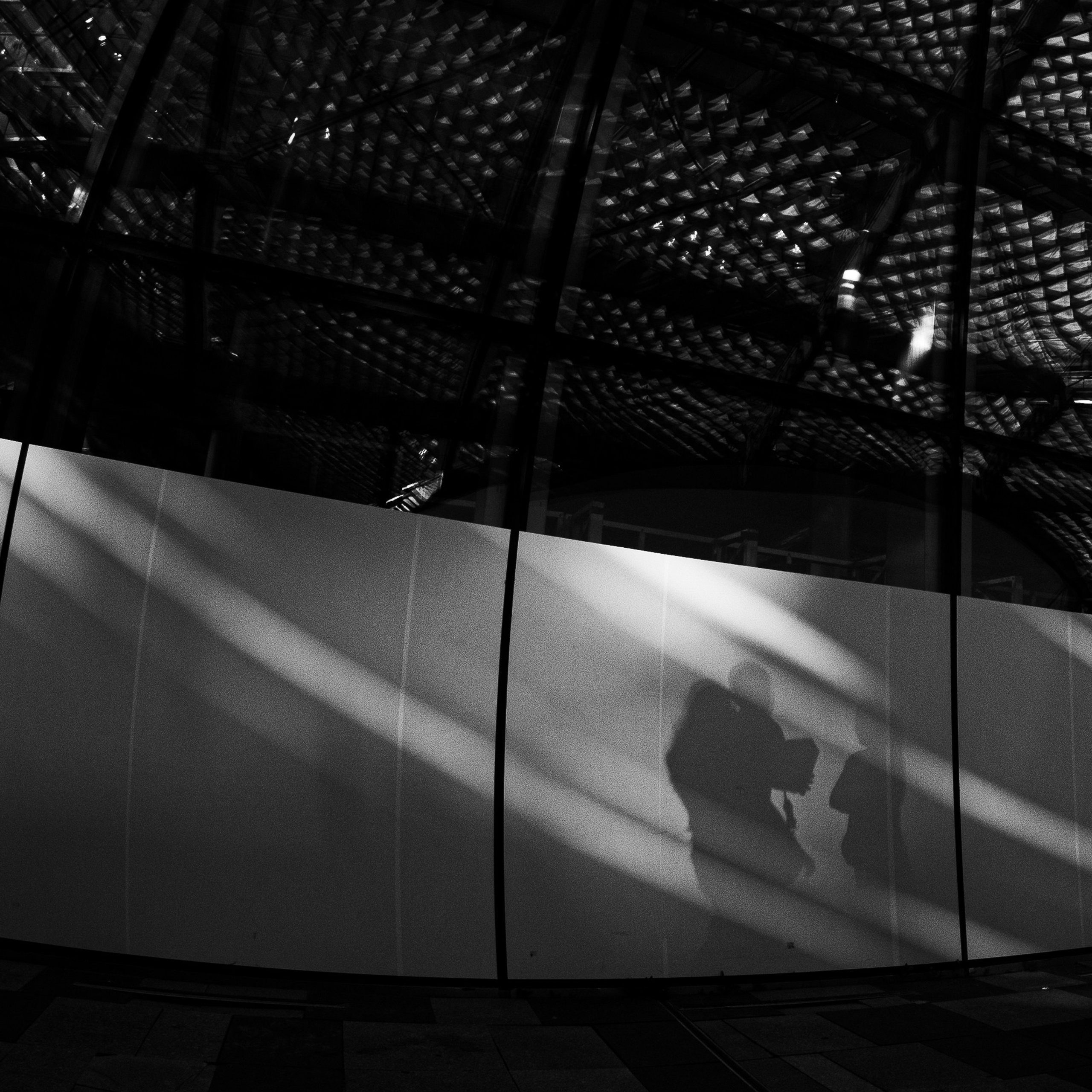 Обзор Brightin Star 7.5 mm f/2.8 Fisheye: бюджетный фишай для творчества