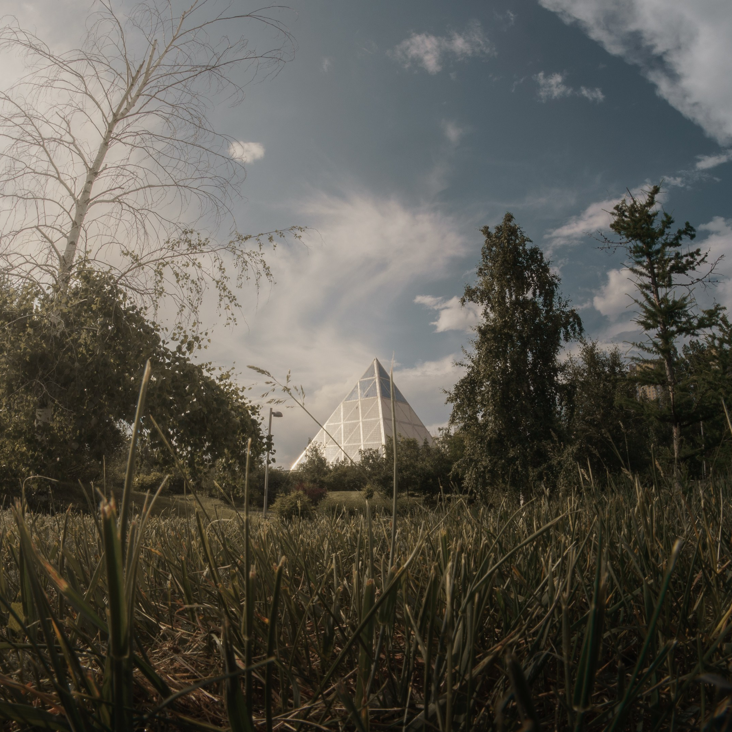 Обзор Brightin Star 7.5 mm f/2.8 Fisheye: бюджетный фишай для творчества