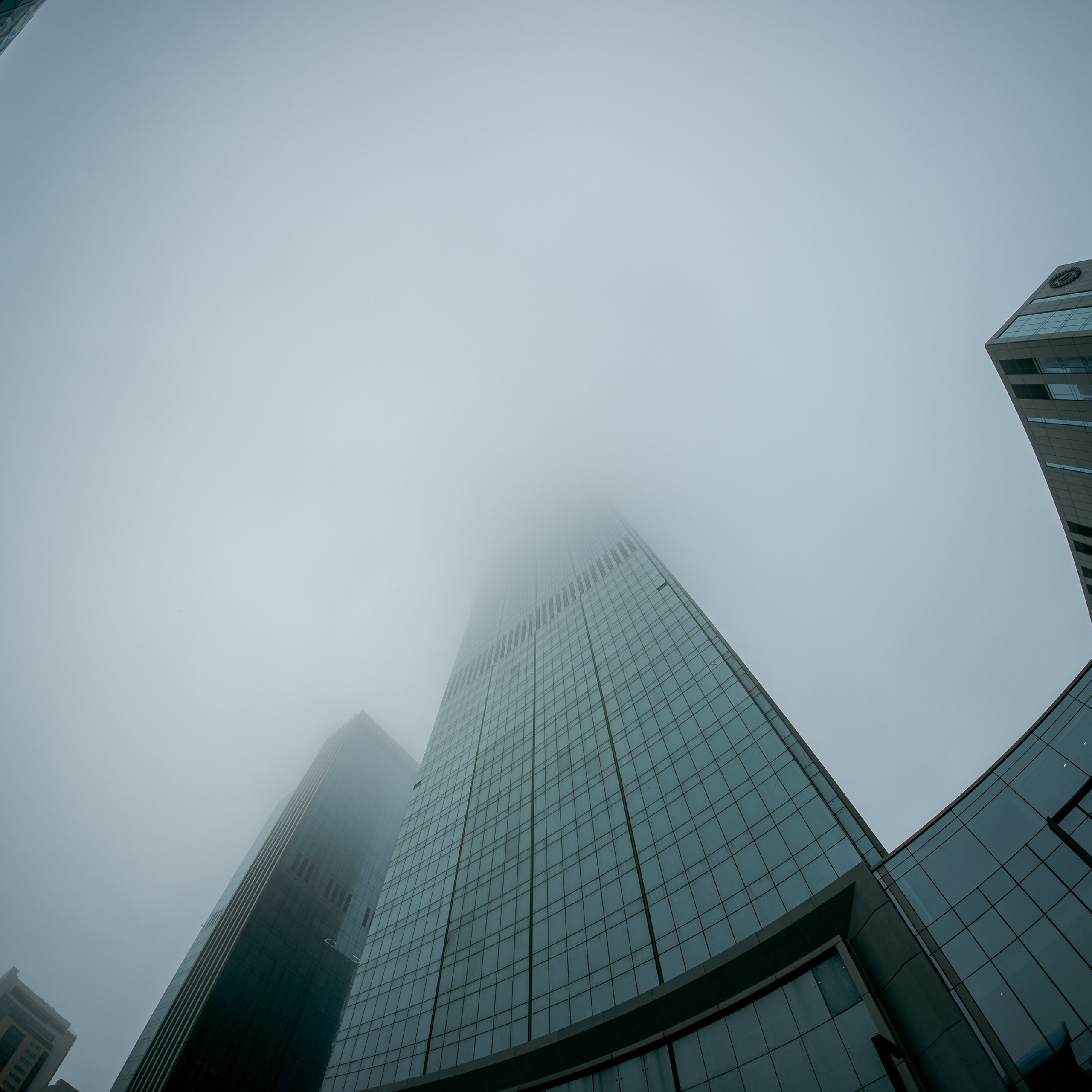 Обзор Brightin Star 7.5 mm f/2.8 Fisheye: бюджетный фишай для творчества