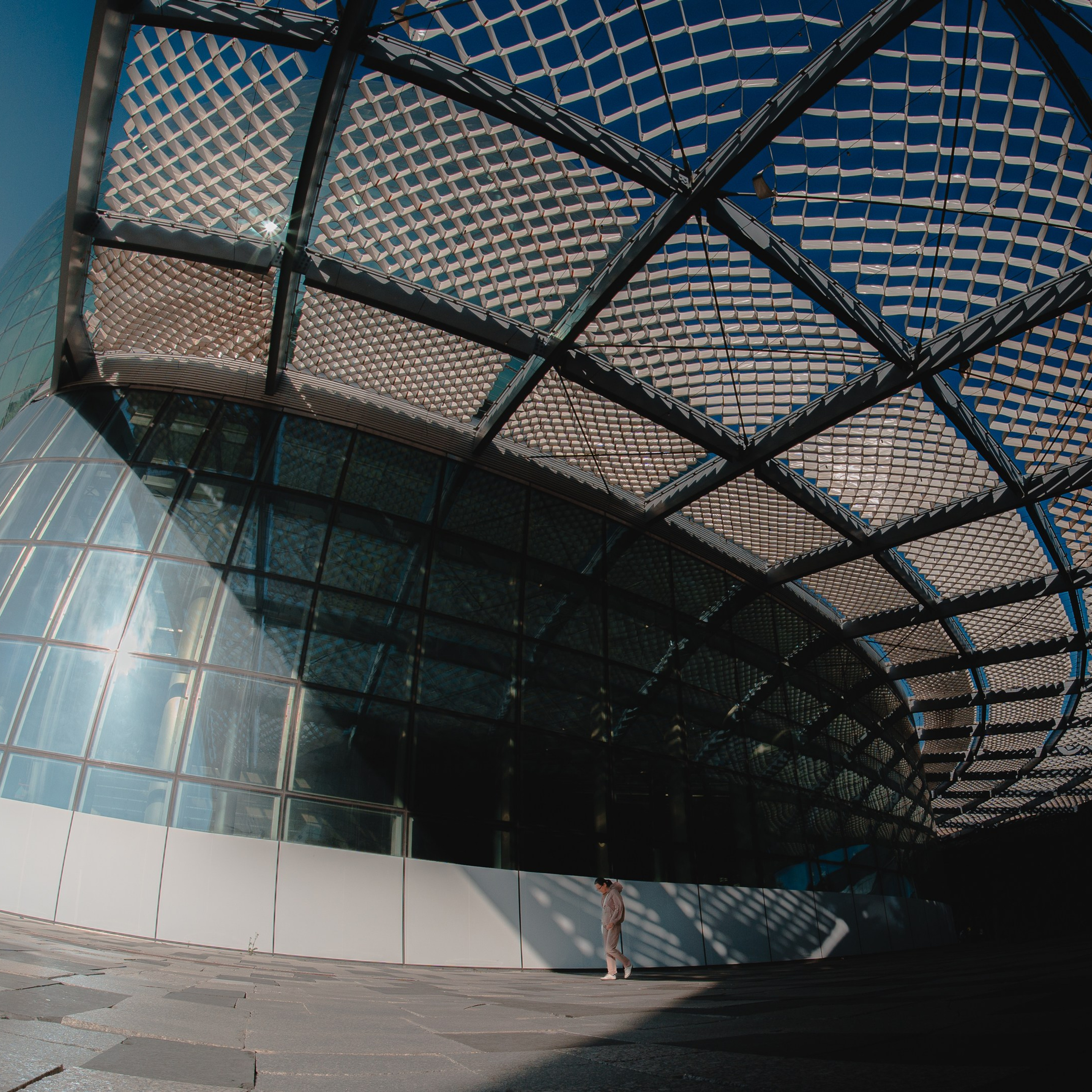 Обзор Brightin Star 7.5 mm f/2.8 Fisheye: бюджетный фишай для творчества