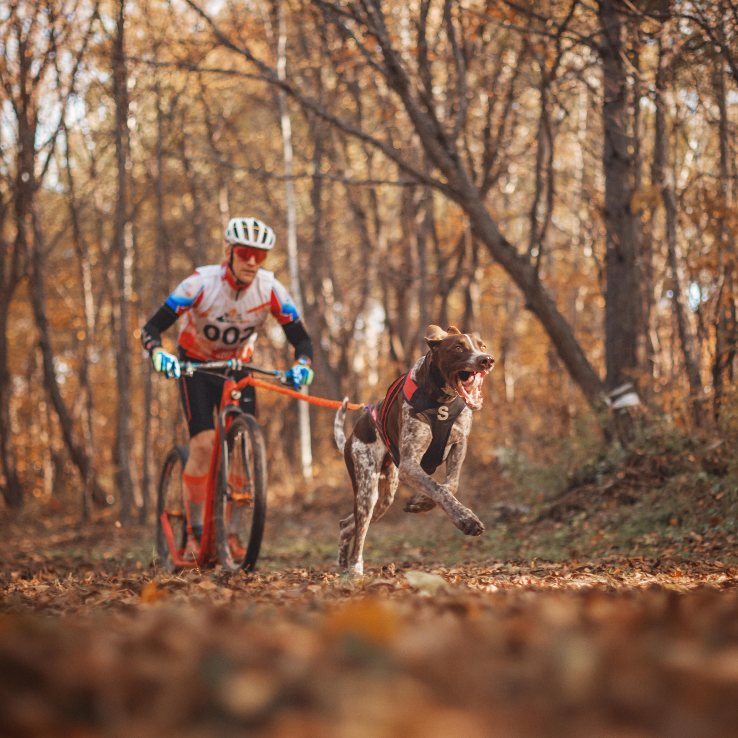 Отзывы клиентов — фотограф в Хабаровске. Алена Попова — фотограф в Хабаровске