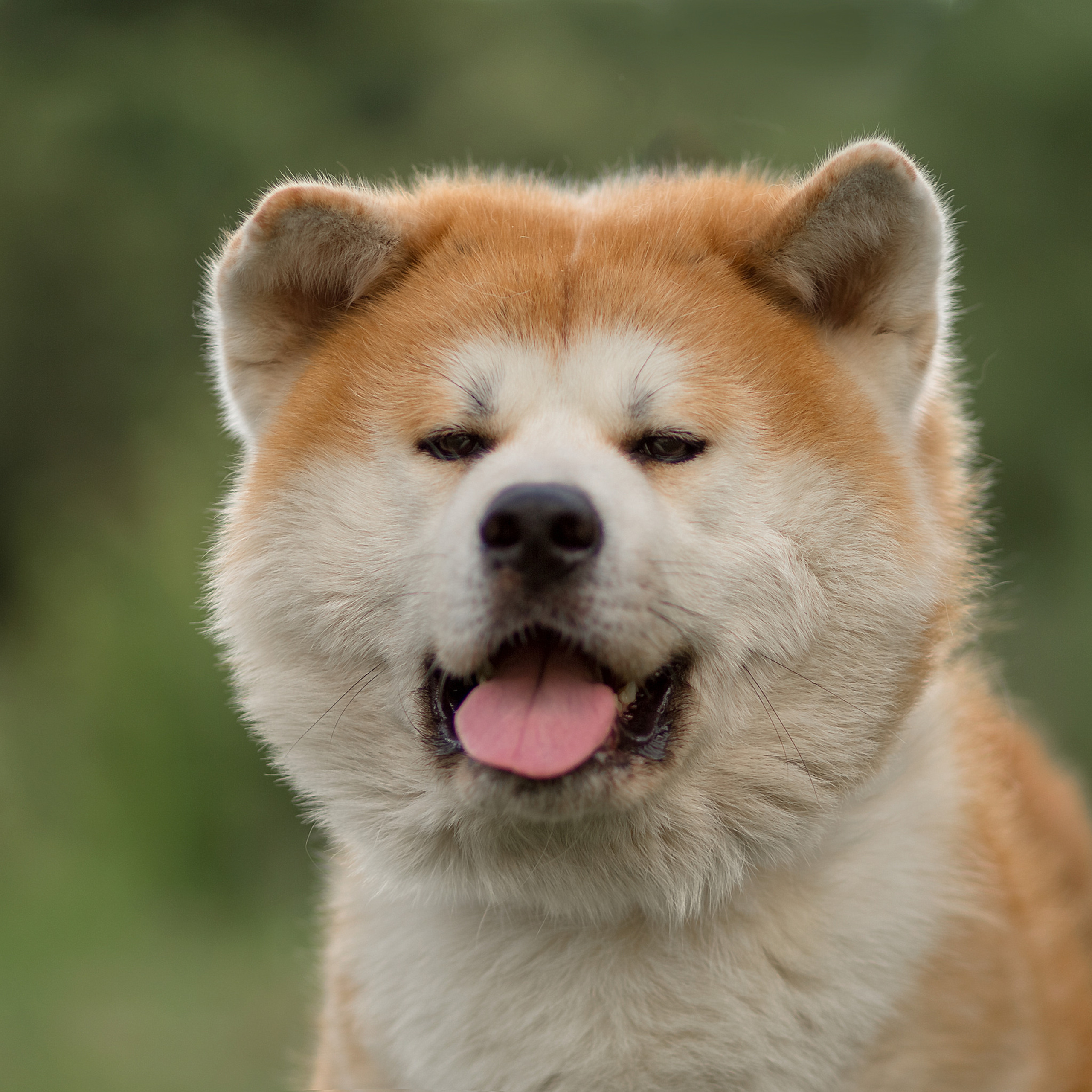 Отзывы клиентов — фотограф в Хабаровске. Алена Попова — фотограф в Хабаровске