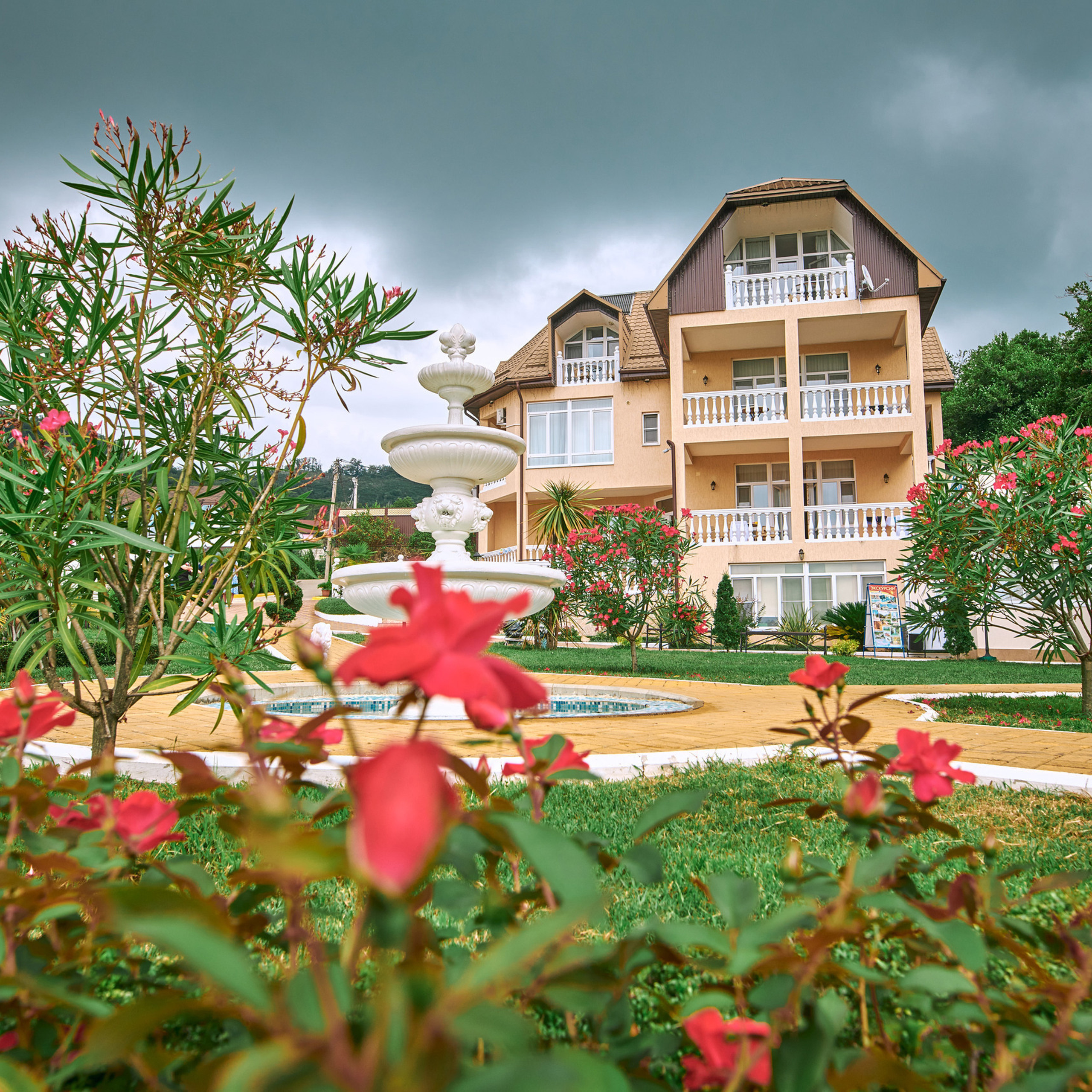 Отзывы о фотографе в Сочи Дмитрие Полянском. Фотограф в Сочи Дмитрий Полянский