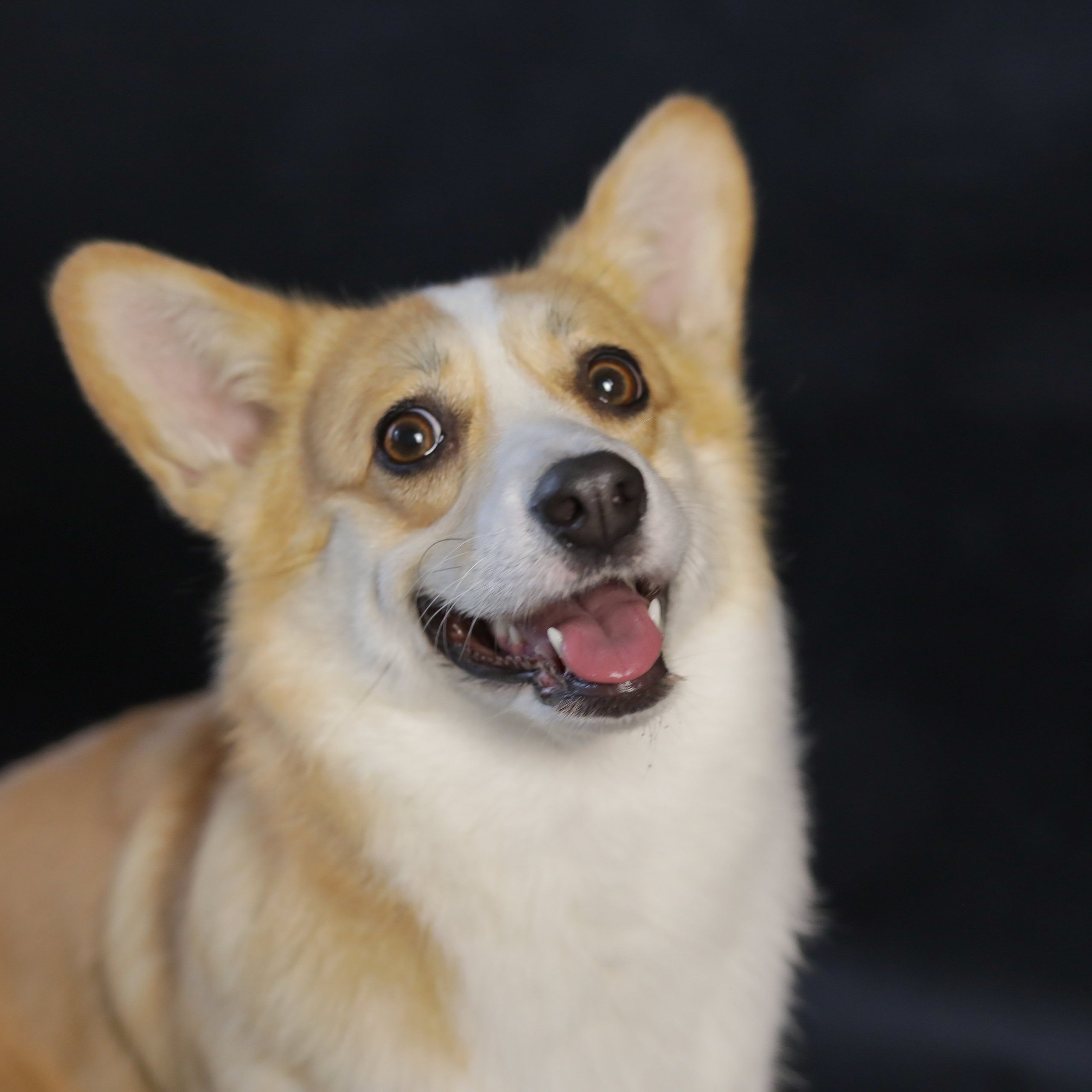 Отзывы. Семейный и детский фотограф в Пушкино, Московская обл. Оксана Котюнина