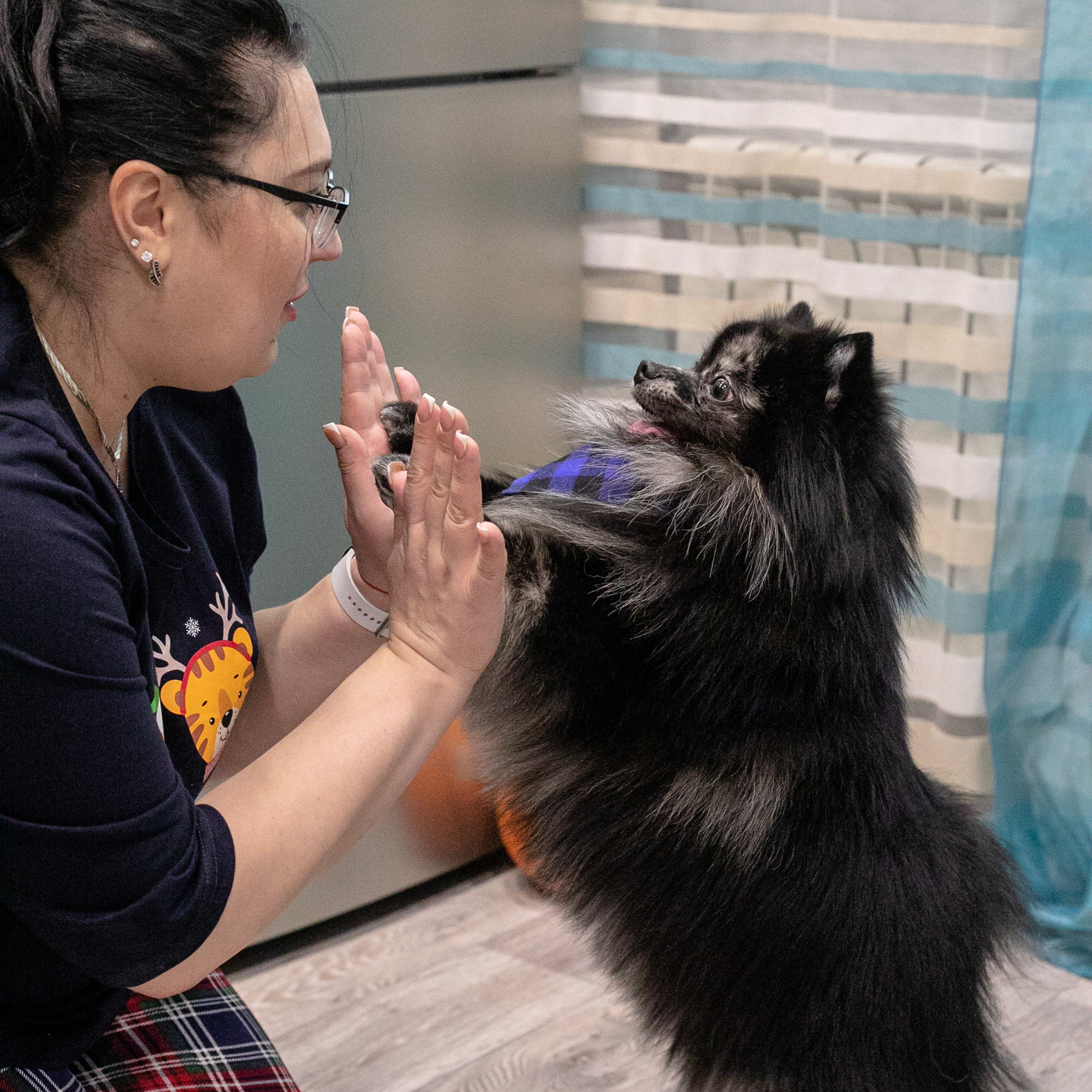 Фото с питомцем. Семейный и детский фотограф в Пушкино, Московская обл. Оксана Котюнина