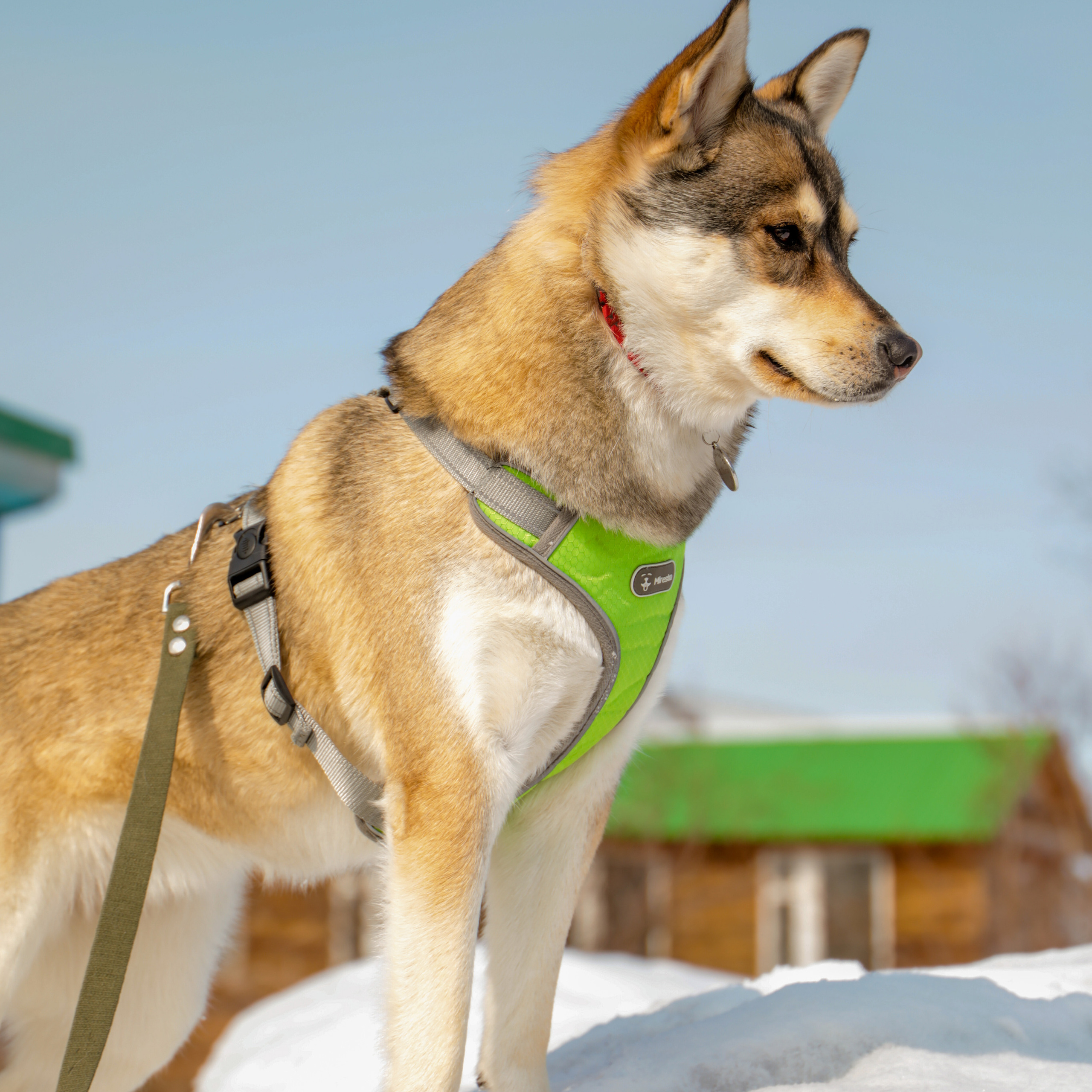 Отзывы. Семейный и детский фотограф в Пушкино, Московская обл. Оксана Котюнина