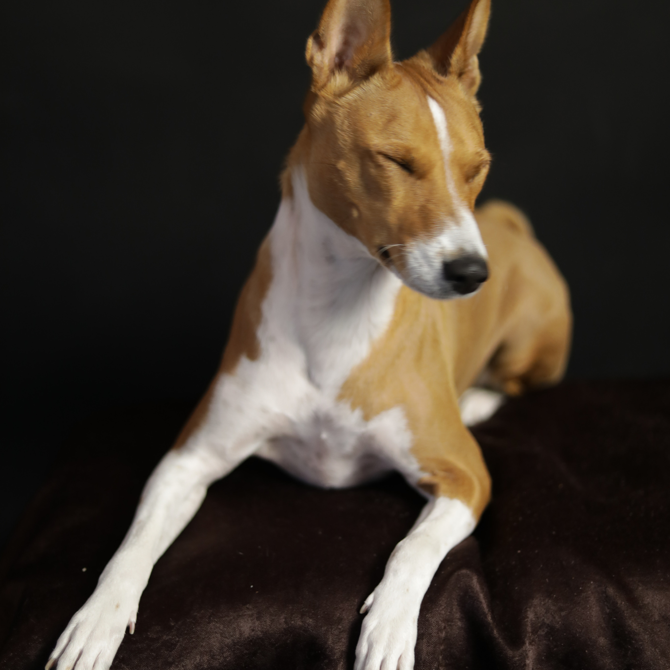 Отзывы. Семейный и детский фотограф в Пушкино, Московская обл. Оксана Котюнина