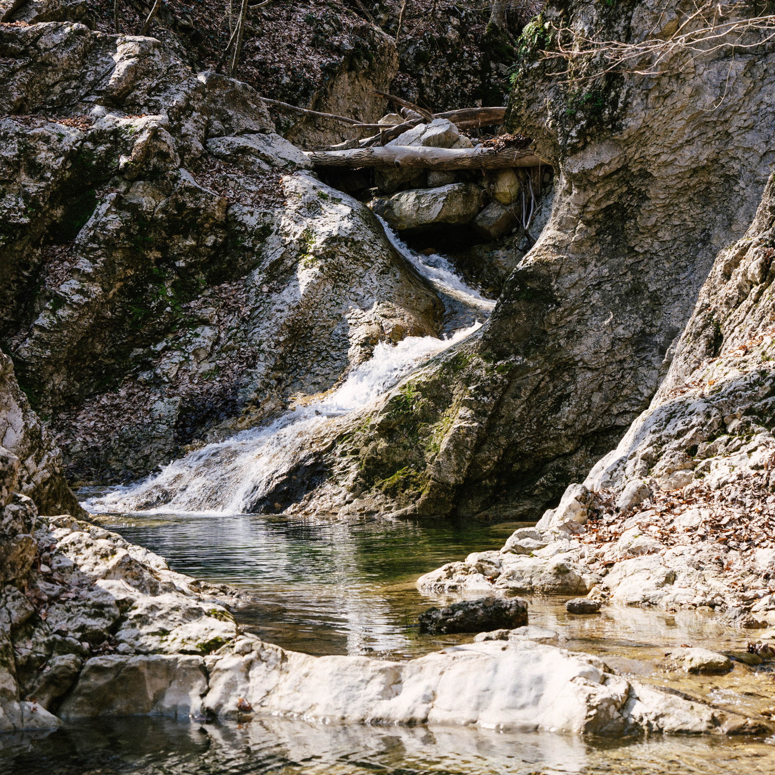 Отзывы. Фотограф в Красноперекопске Виталий Савчук