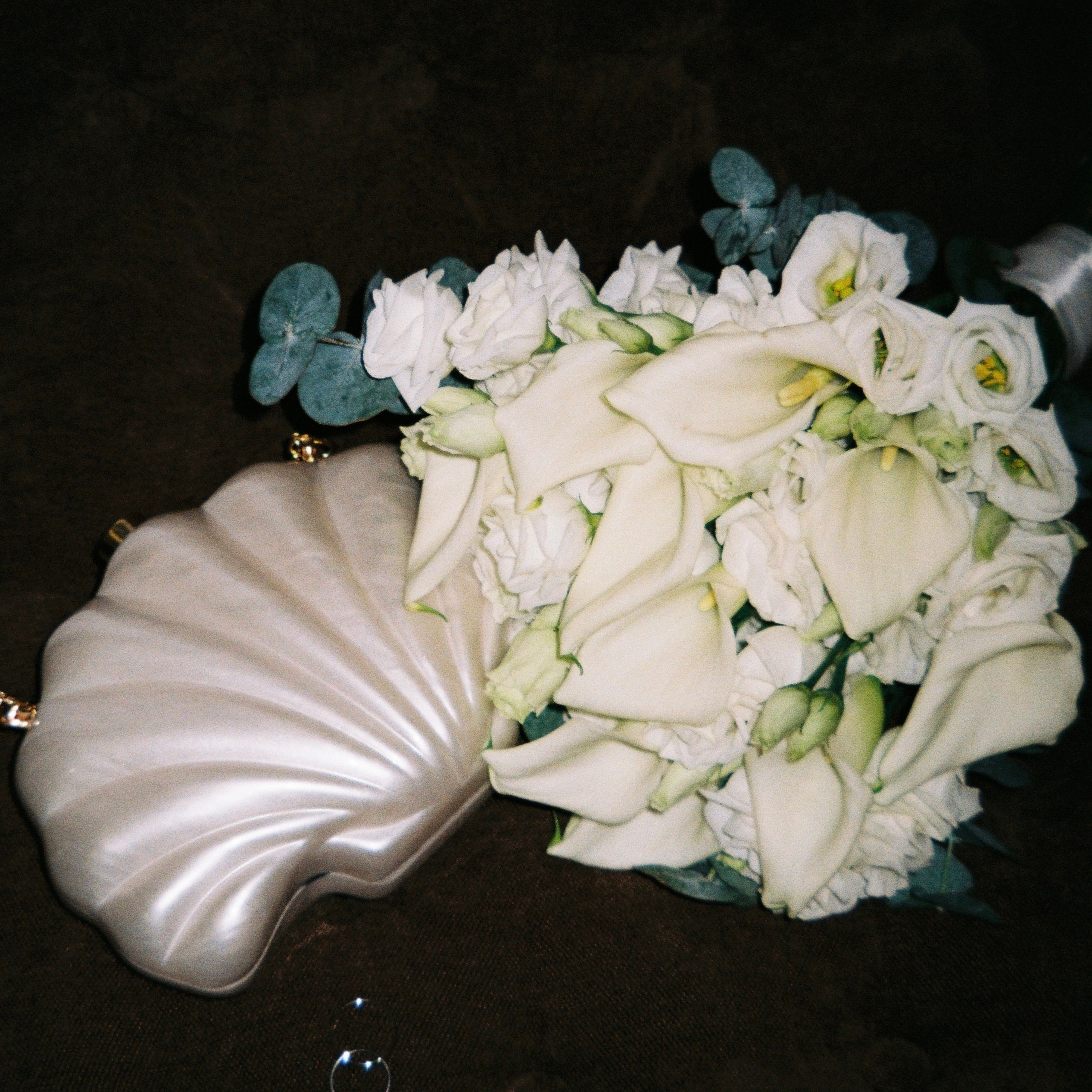 Инфо & прайс. Свадебный фотограф в Москве Анна Сдобнова