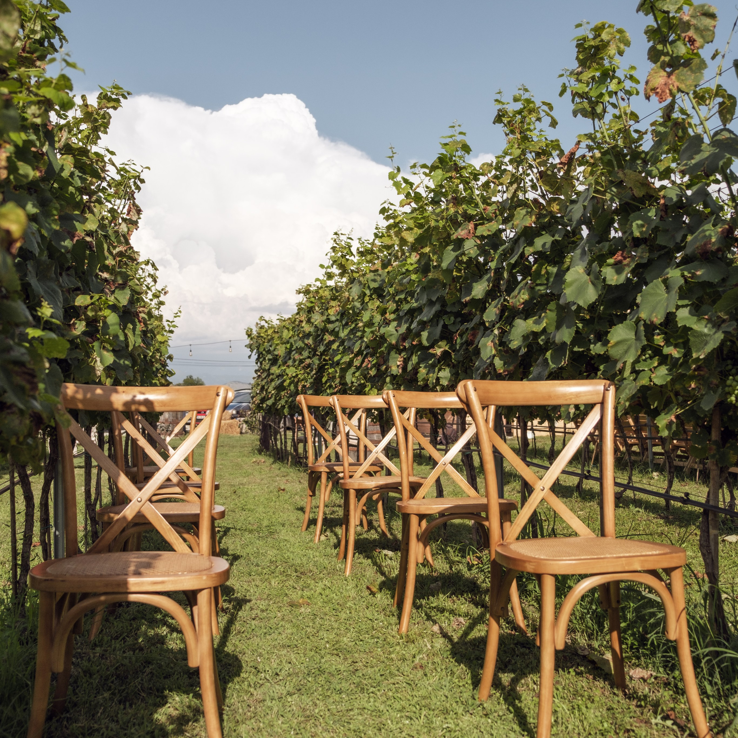 Family and wedding photographer in Montenegro