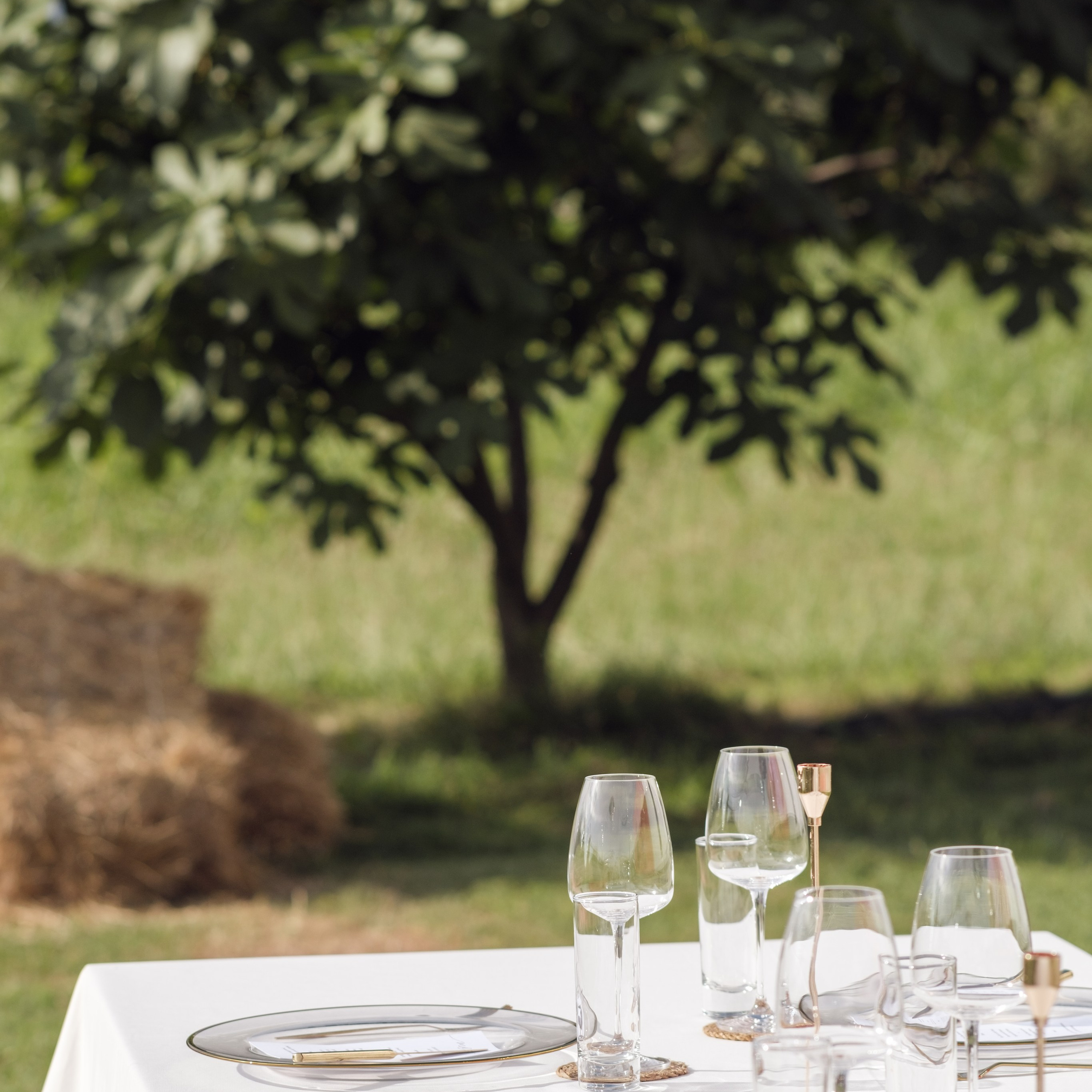 Family and wedding photographer in Montenegro