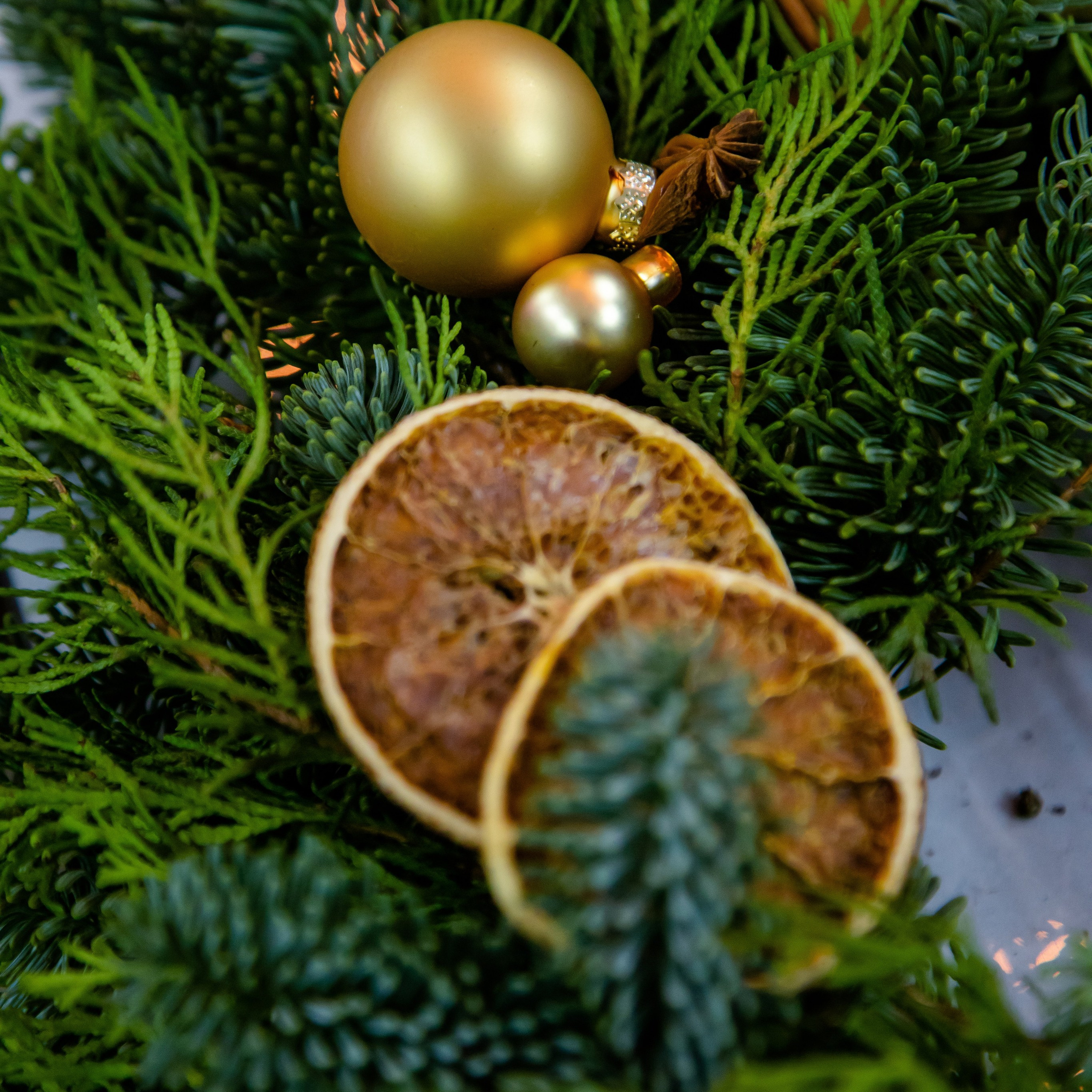 ОТЗЫВЫ. Фотография и видеосъёмка