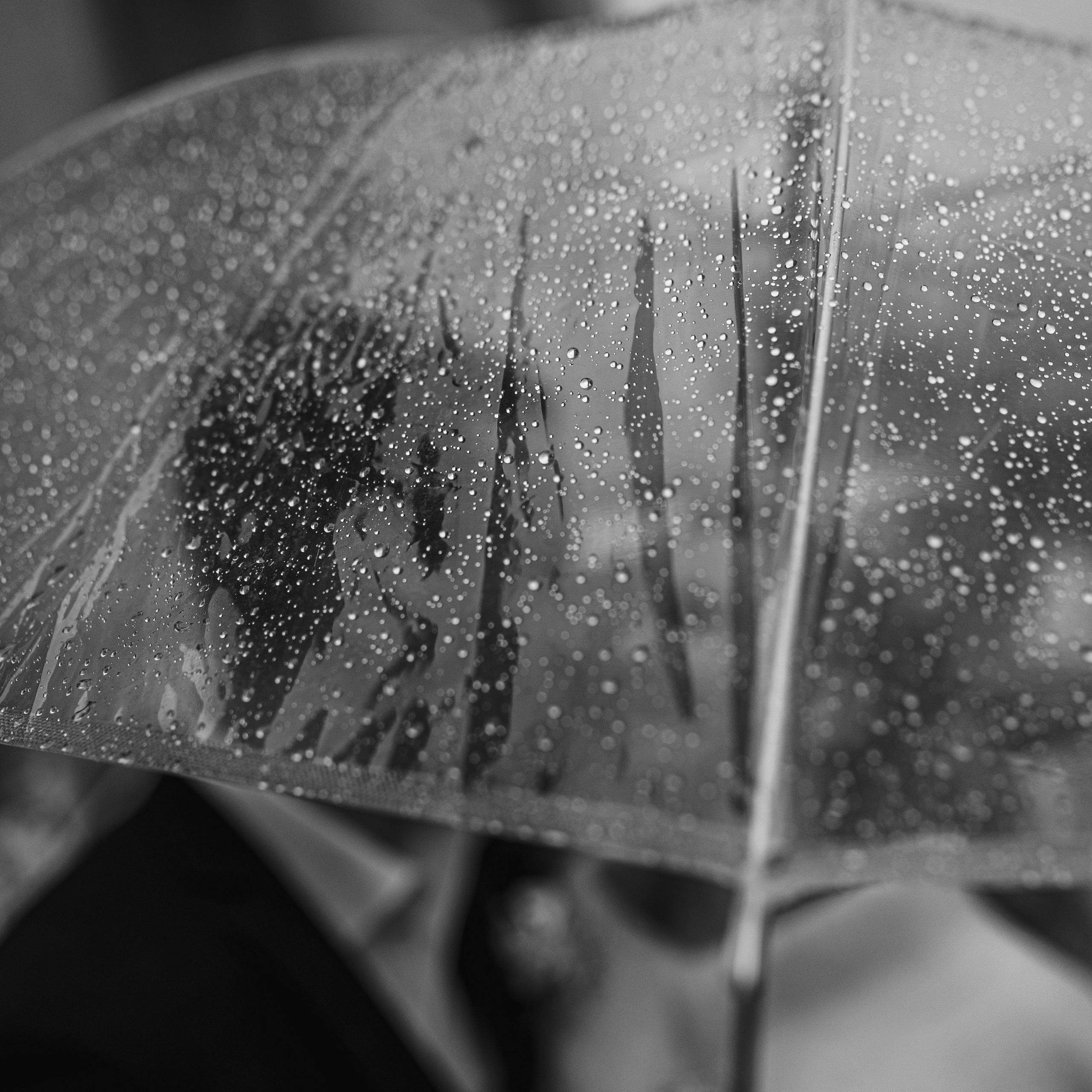 Отзывы. Фотограф в Каменске-Шахтинском Ольга Сагал