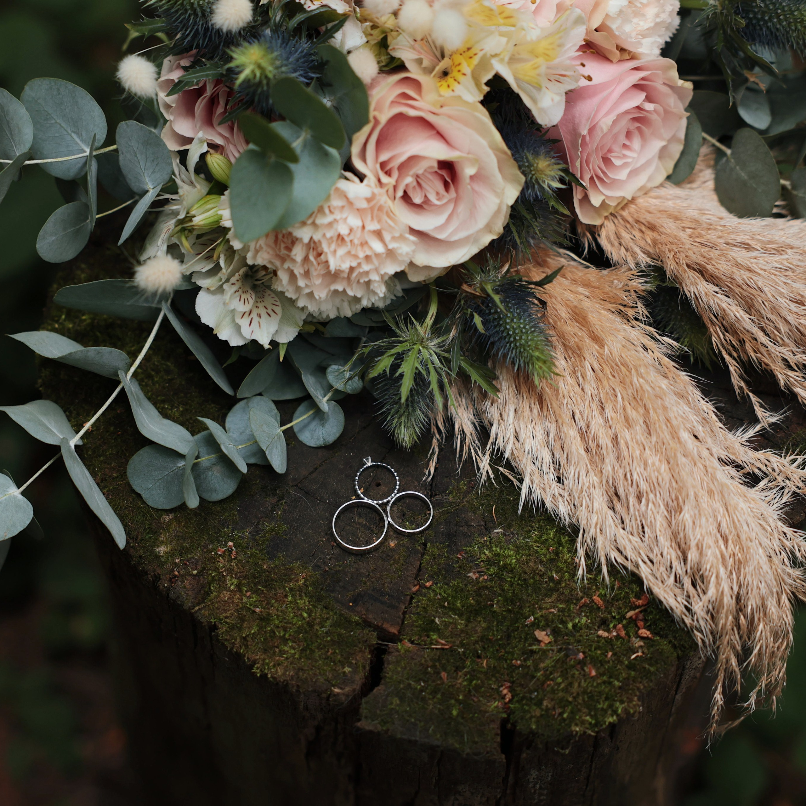 Свадьба Владимира и Яны