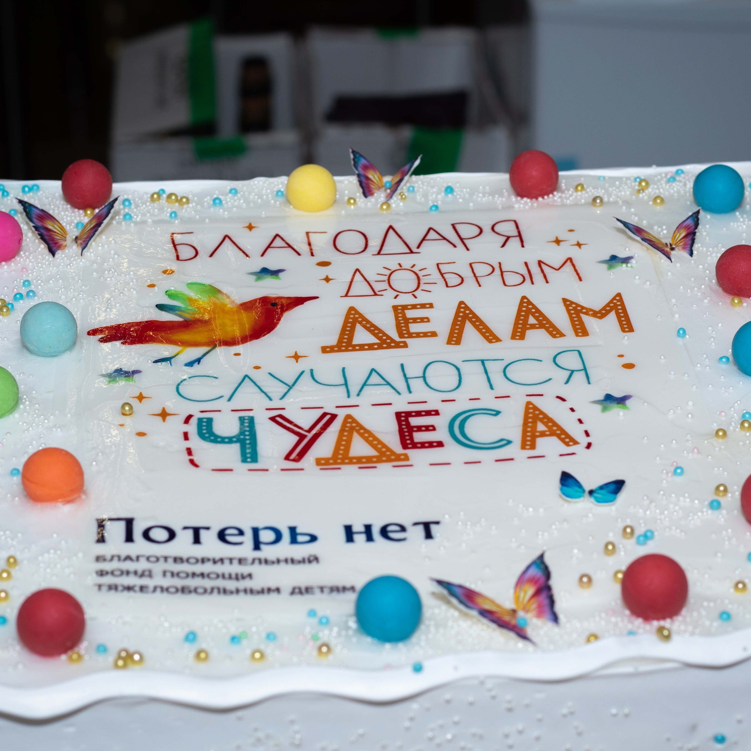 10 лет Благотворительному фонду «Потерь нет»