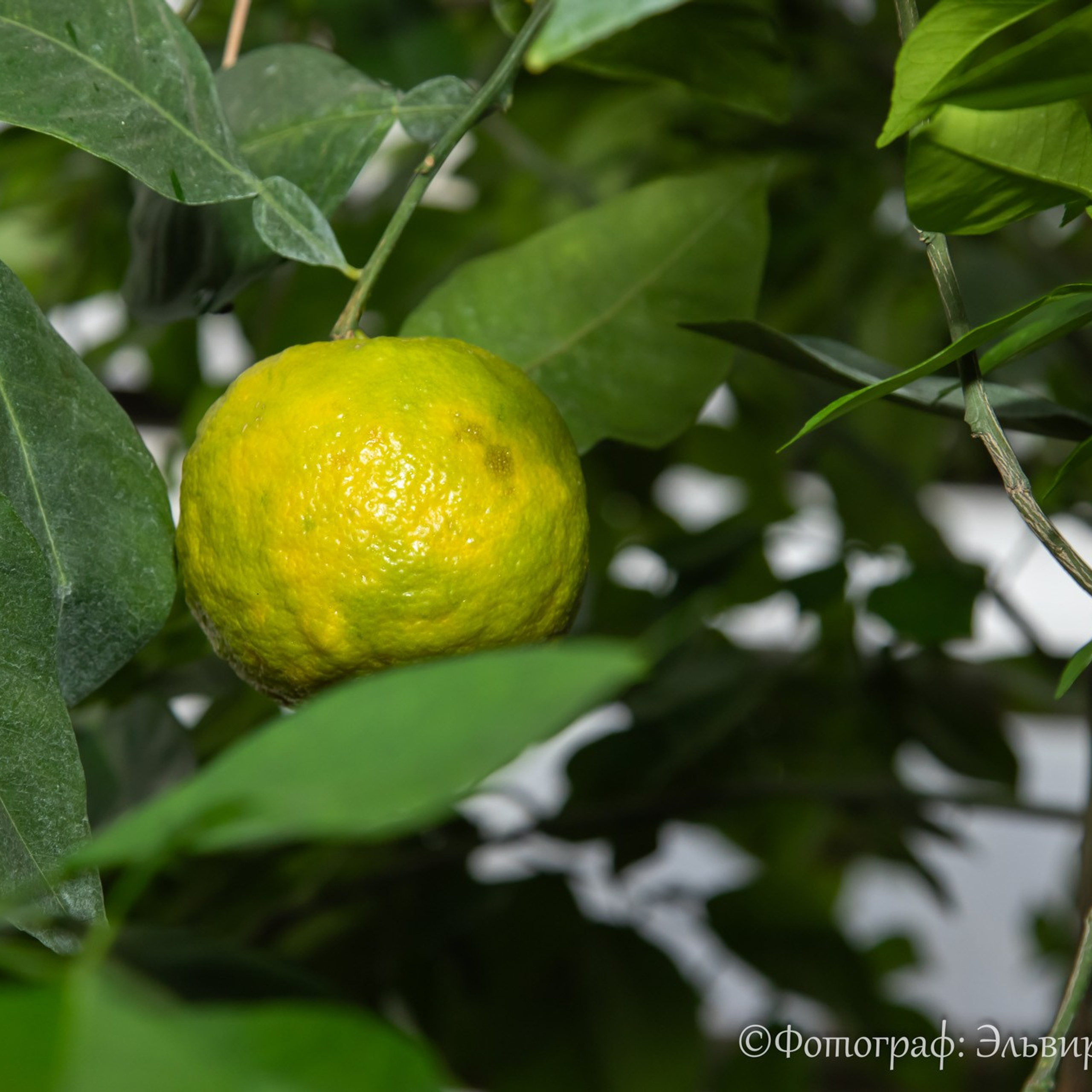 Экскурсия из Бирска для родственников участников СВО