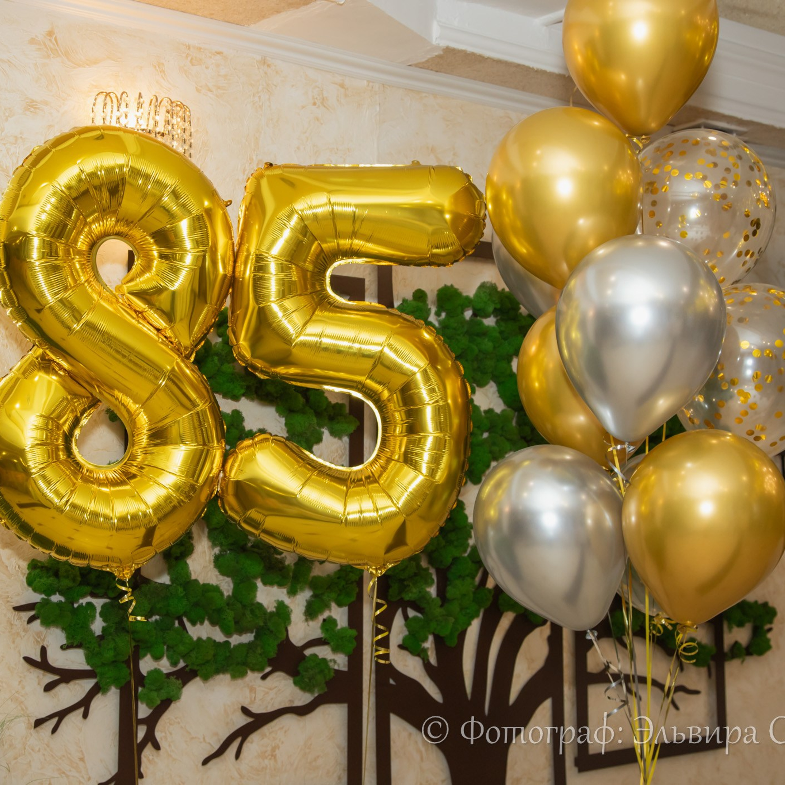 Юбилей 85 лет