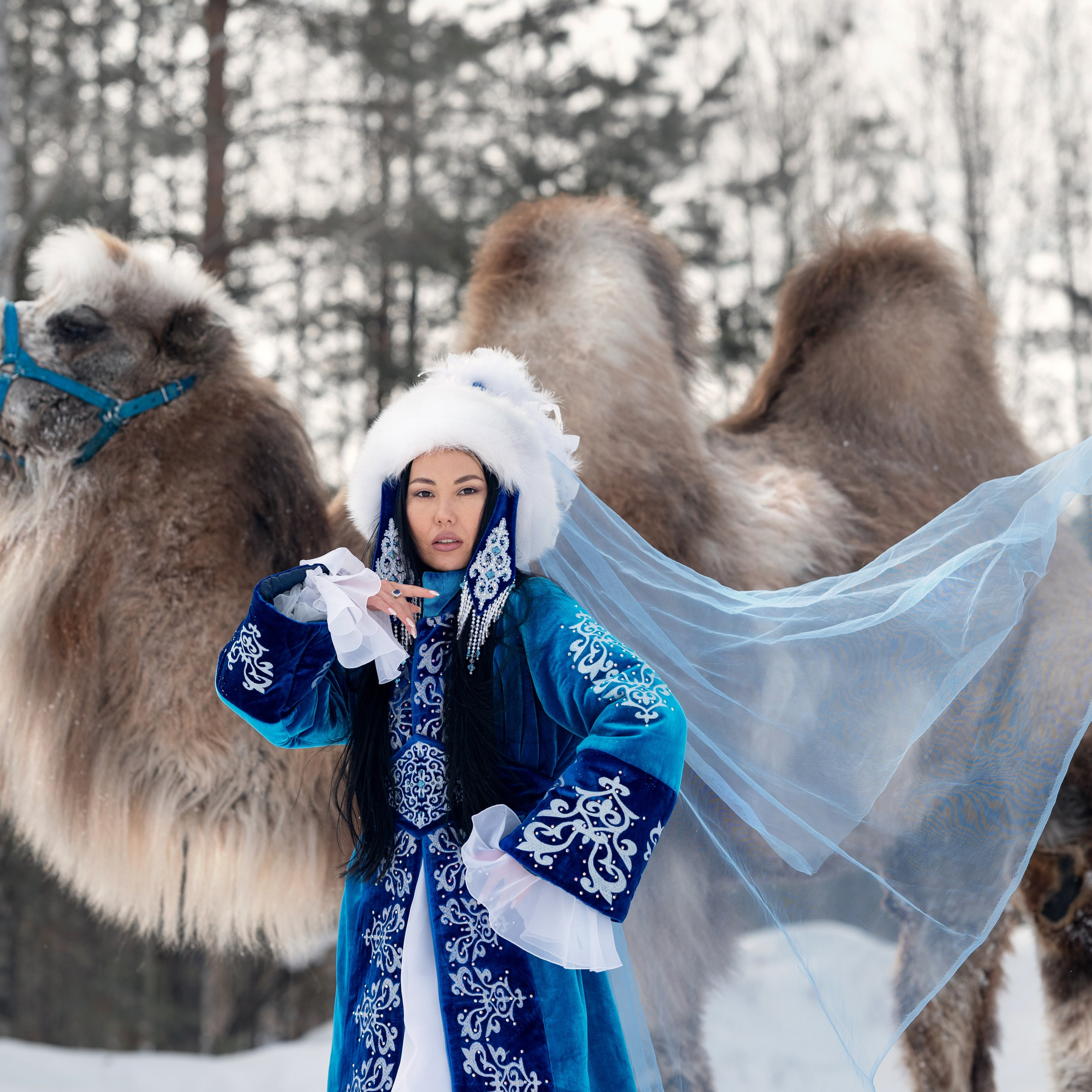 Казахская красавица и верблюд