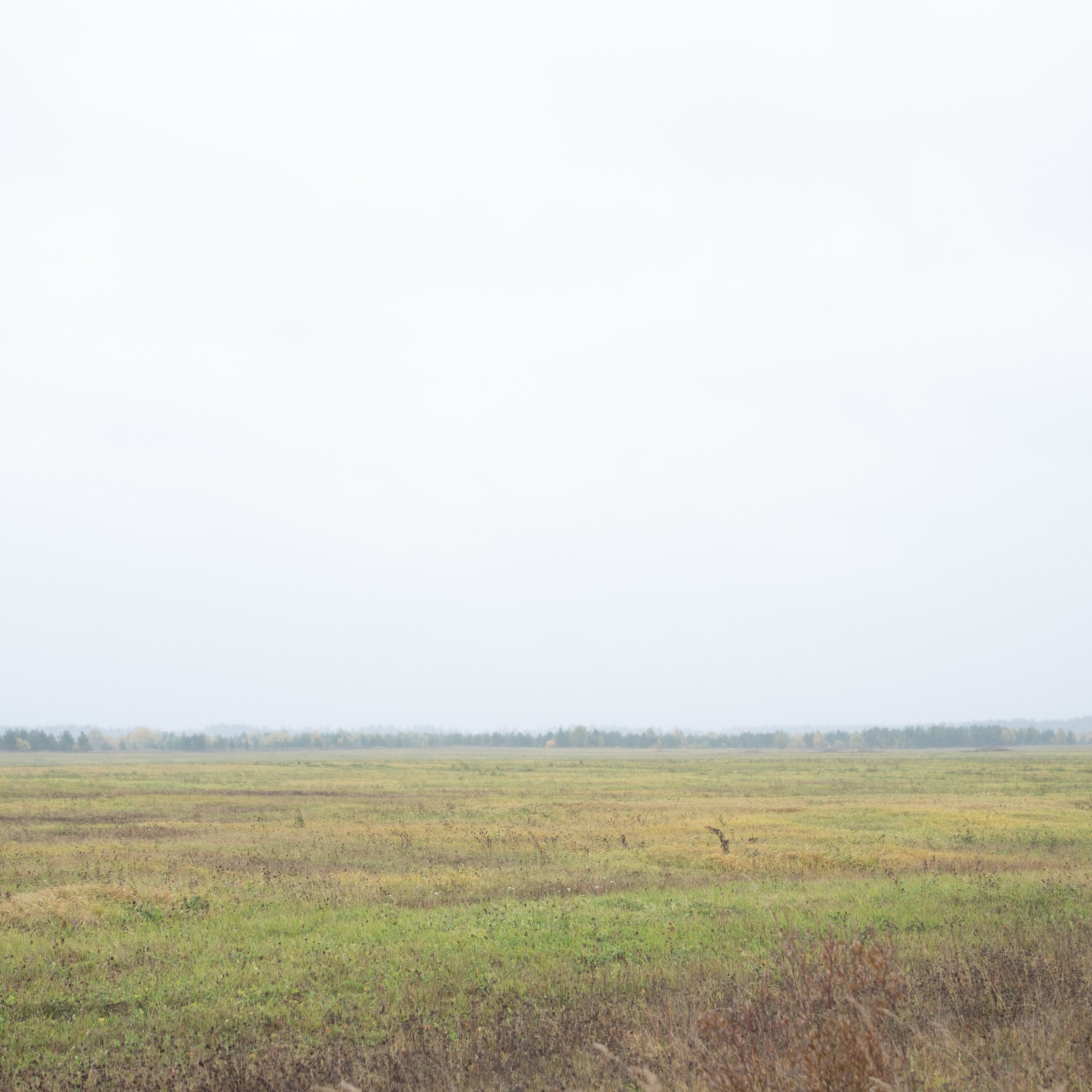 Ошевенский покой: Душа Севера