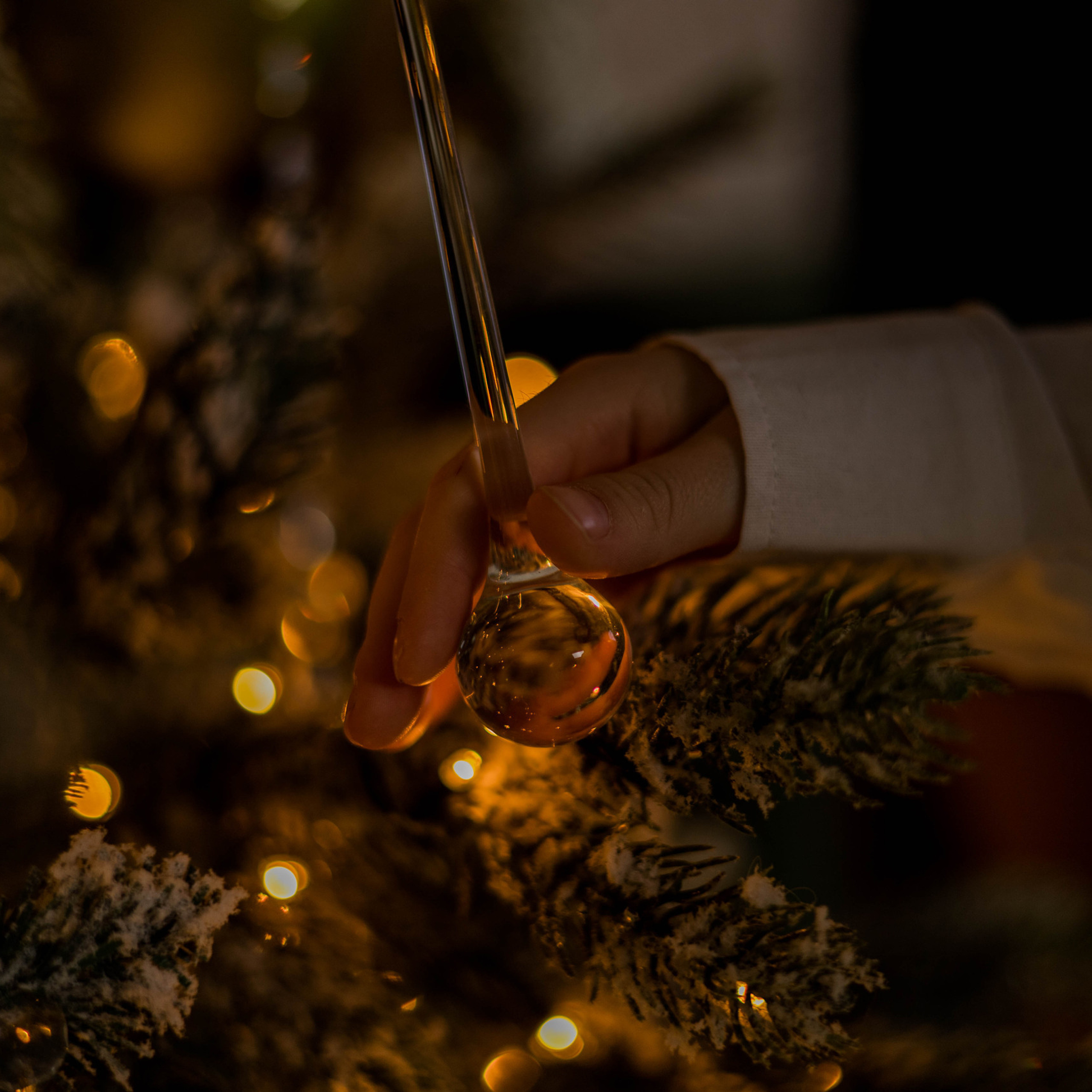 Отзывы. Фотограф | Белоглазова Дарья | Сыктывкар