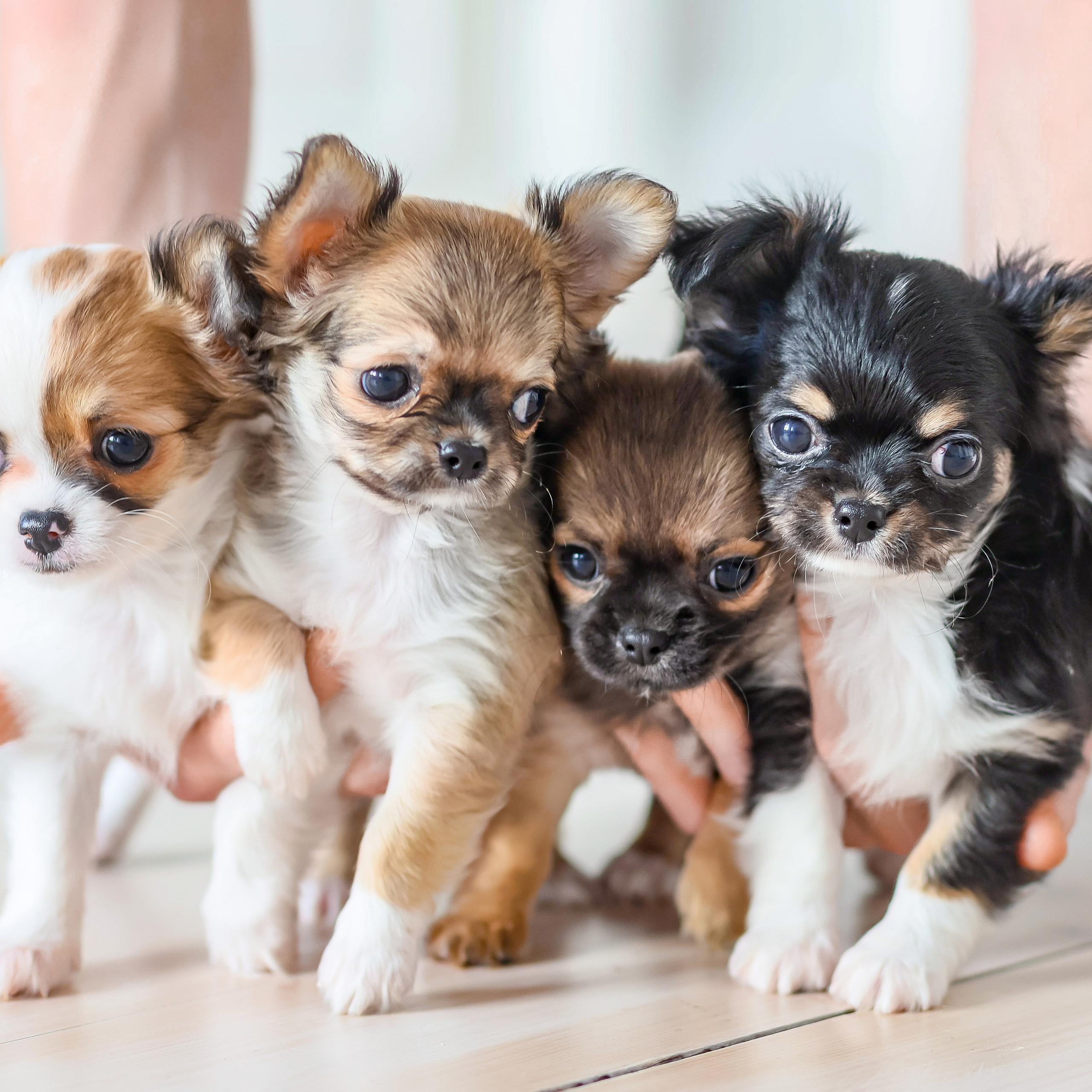 Отзывы. Детский и семейный фотограф Yulia Moon