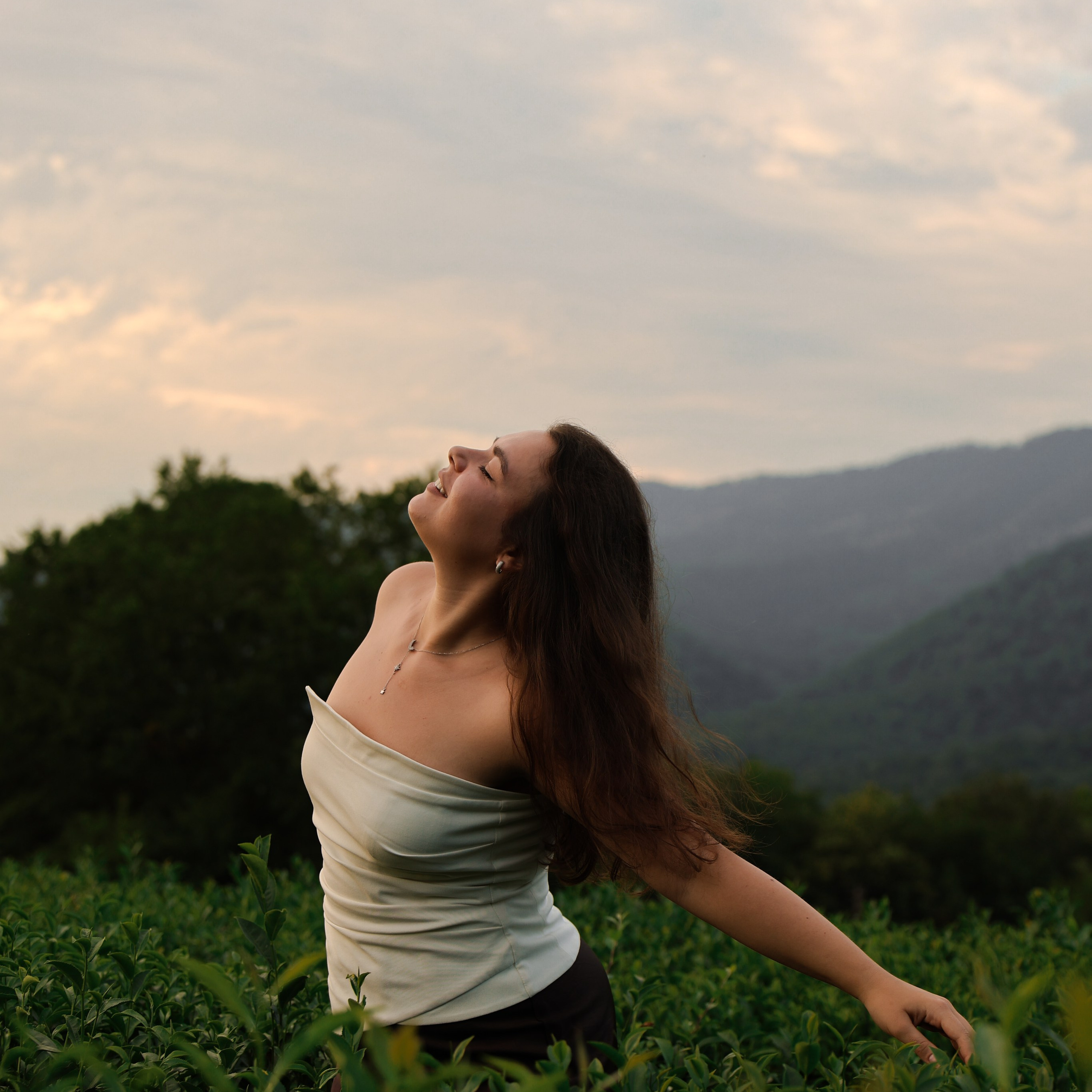 ЧАЙНЫЕ ПЛАНТАЦИИ