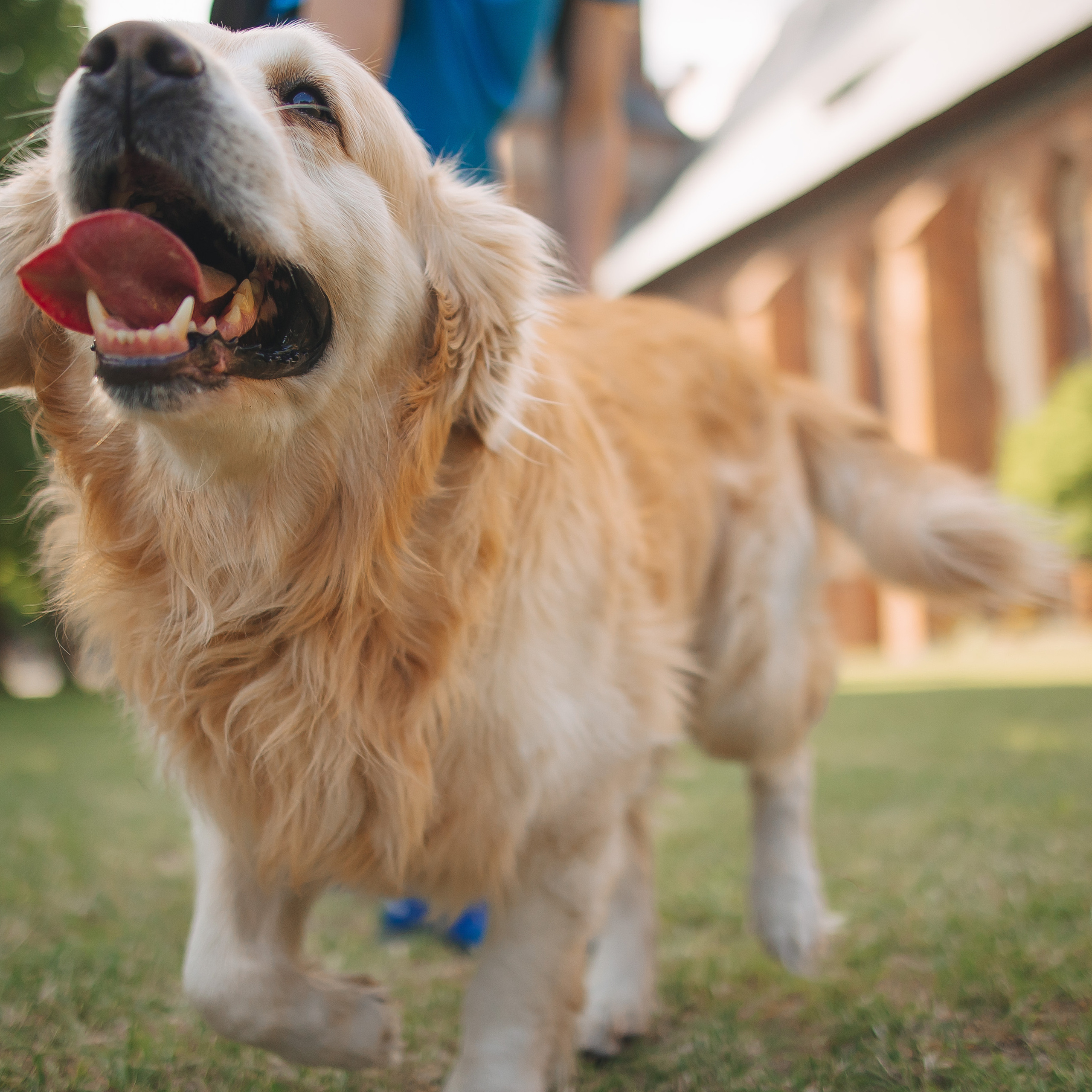 Отзывы. Свадебный и женский фотограф