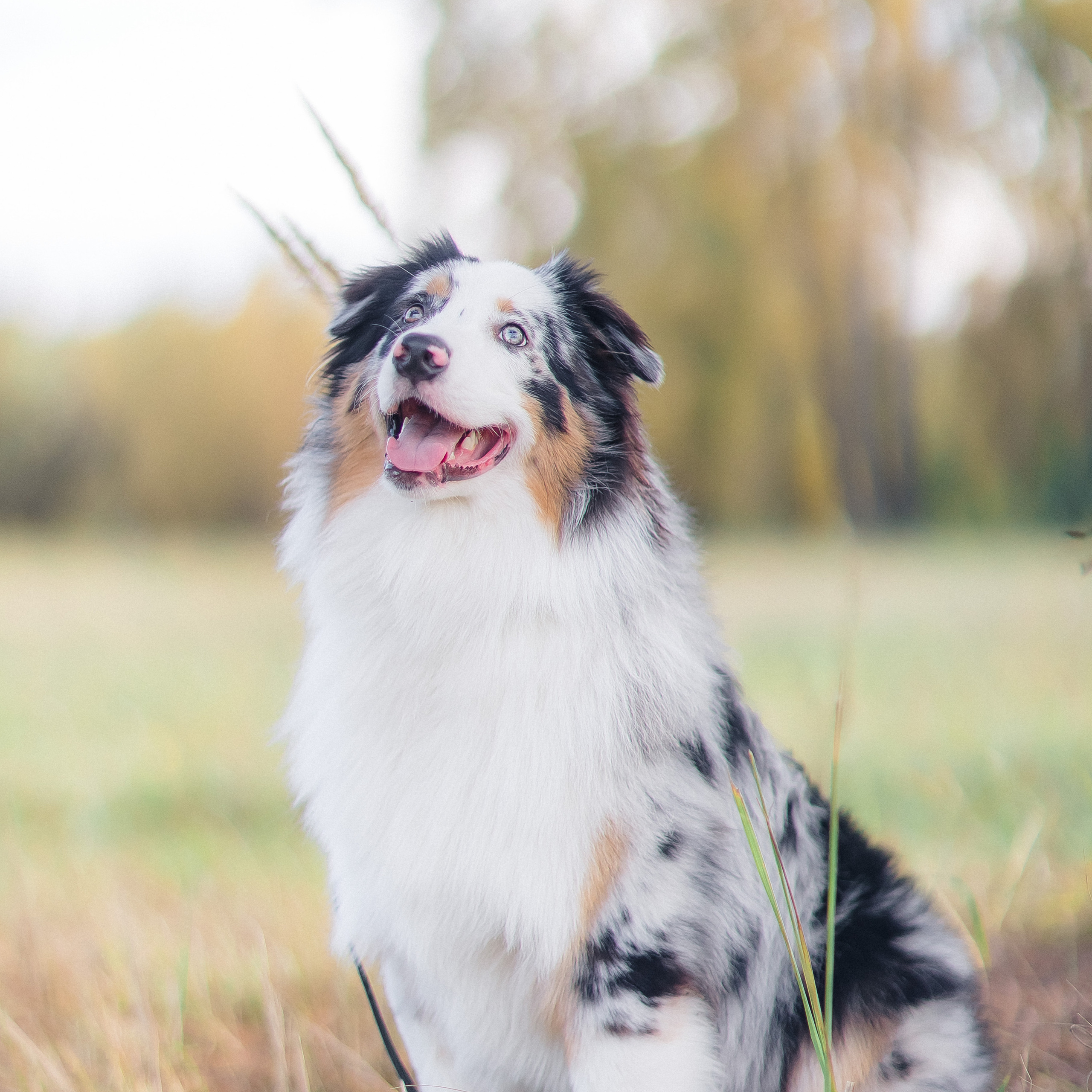 Отзывы. Свадебный и женский фотограф
