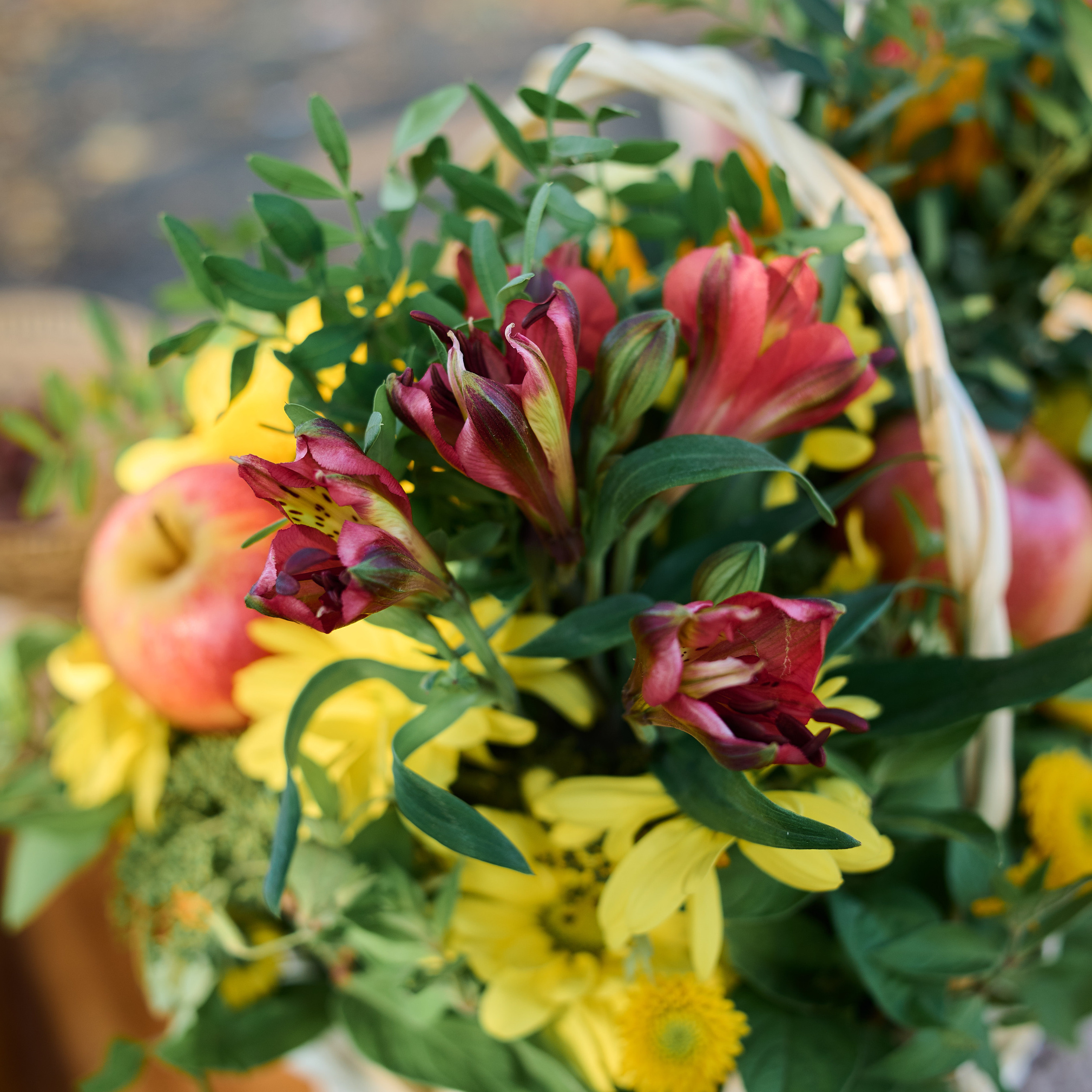 Отзывы. Семейный и детский фотограф в г. Ногинске Ангелина Хасанова