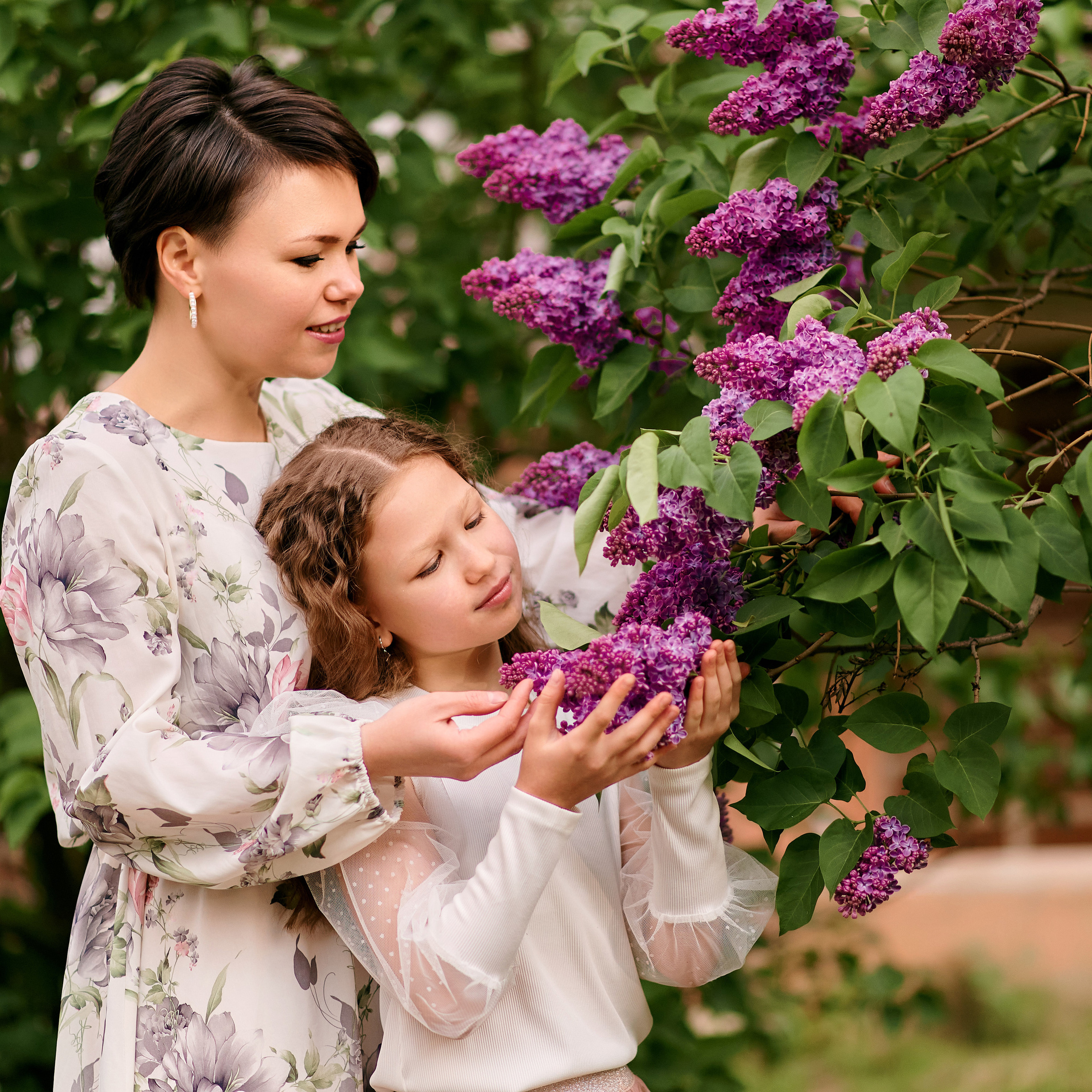 Сиреневый сад