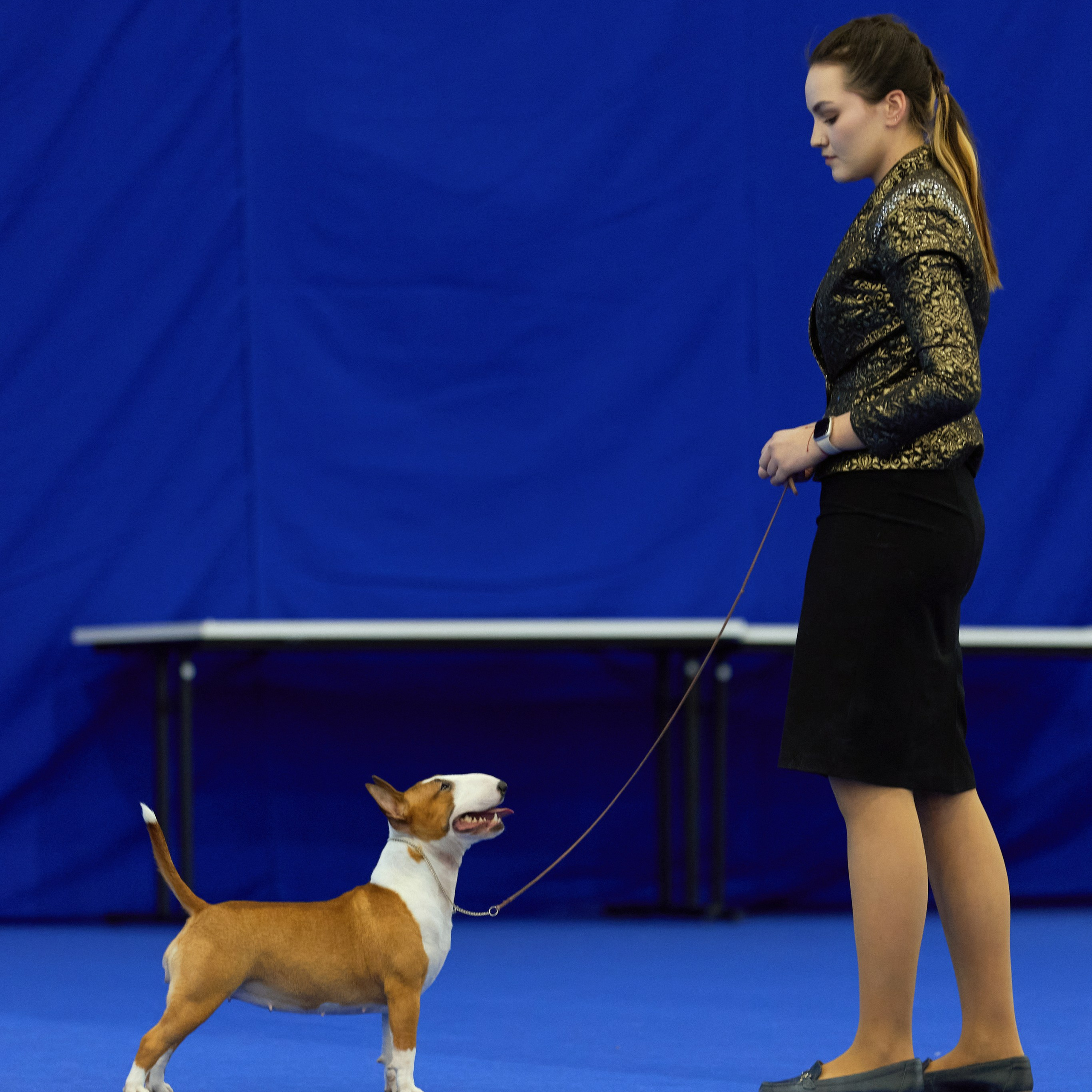 ВЫСТАВКА СОБАК С ОСОБЫМ СТАТУСОМ «НЕВСКИЙ ПОБЕДИТЕЛЬ» 12-13-14.12.2025. ФОТОГРАФ-АНИМАЛИСТ l LANA POLYAKOVA