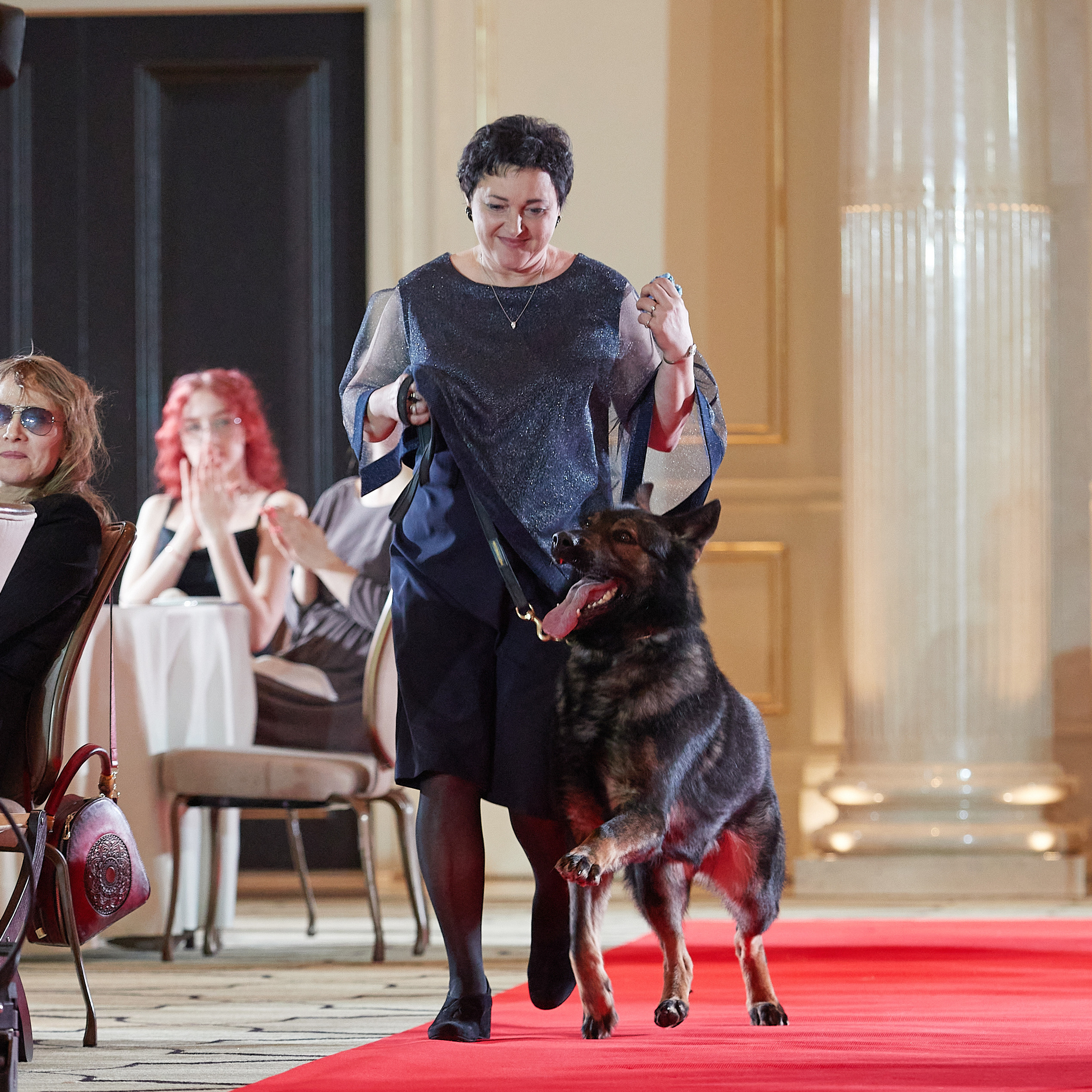 Репортаж с церемонии «BEST RUSSIAN DOG 2022». ФОТОГРАФ-АНИМАЛИСТ l LANA POLYAKOVA