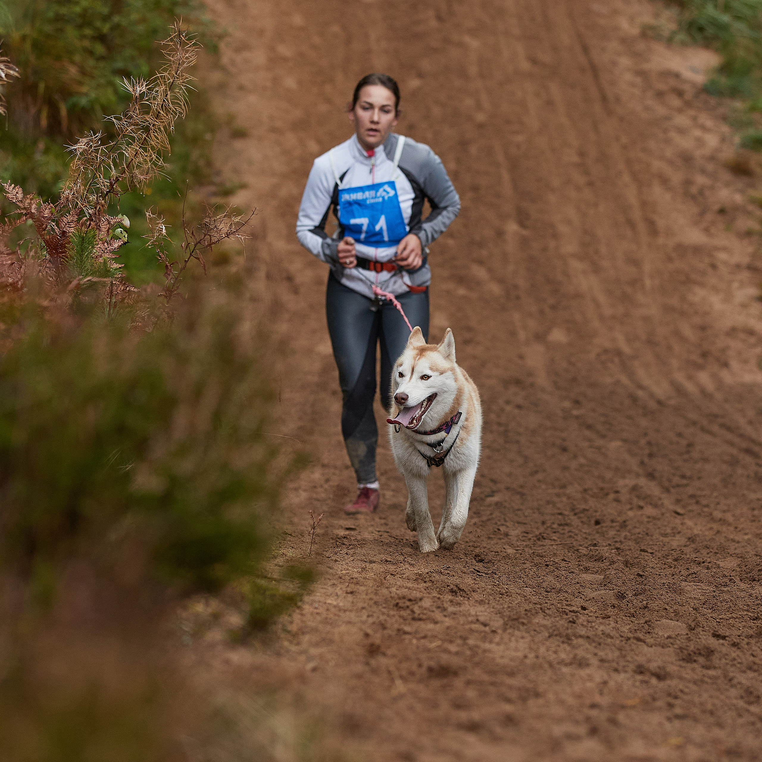 ЧЕМПИОНАТ РОССИИ РКФ 25–26 сентября 2021 г. ФОТОГРАФ-АНИМАЛИСТ l LANA POLYAKOVA