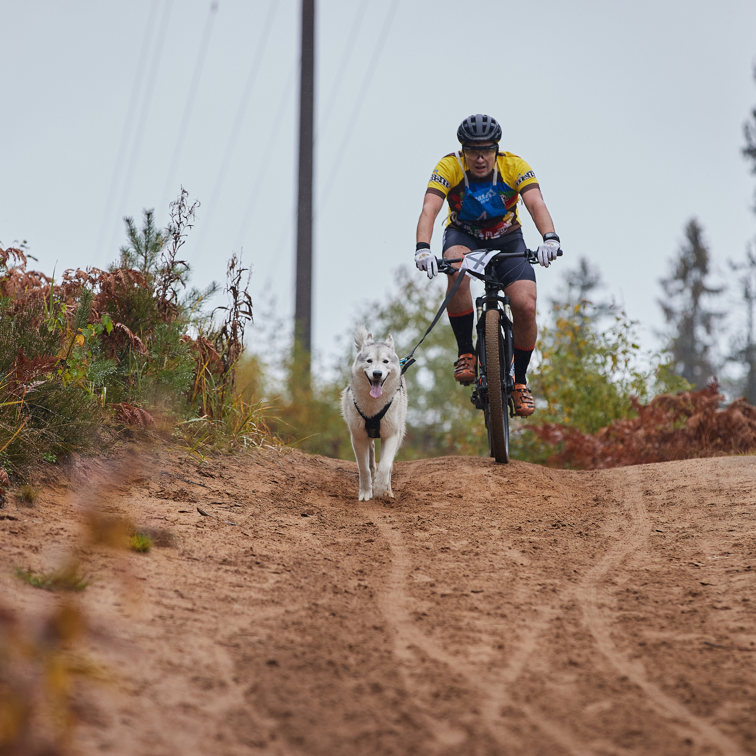 ЧЕМПИОНАТ РОССИИ РКФ 25–26 сентября 2021 г. ФОТОГРАФ-АНИМАЛИСТ l LANA POLYAKOVA