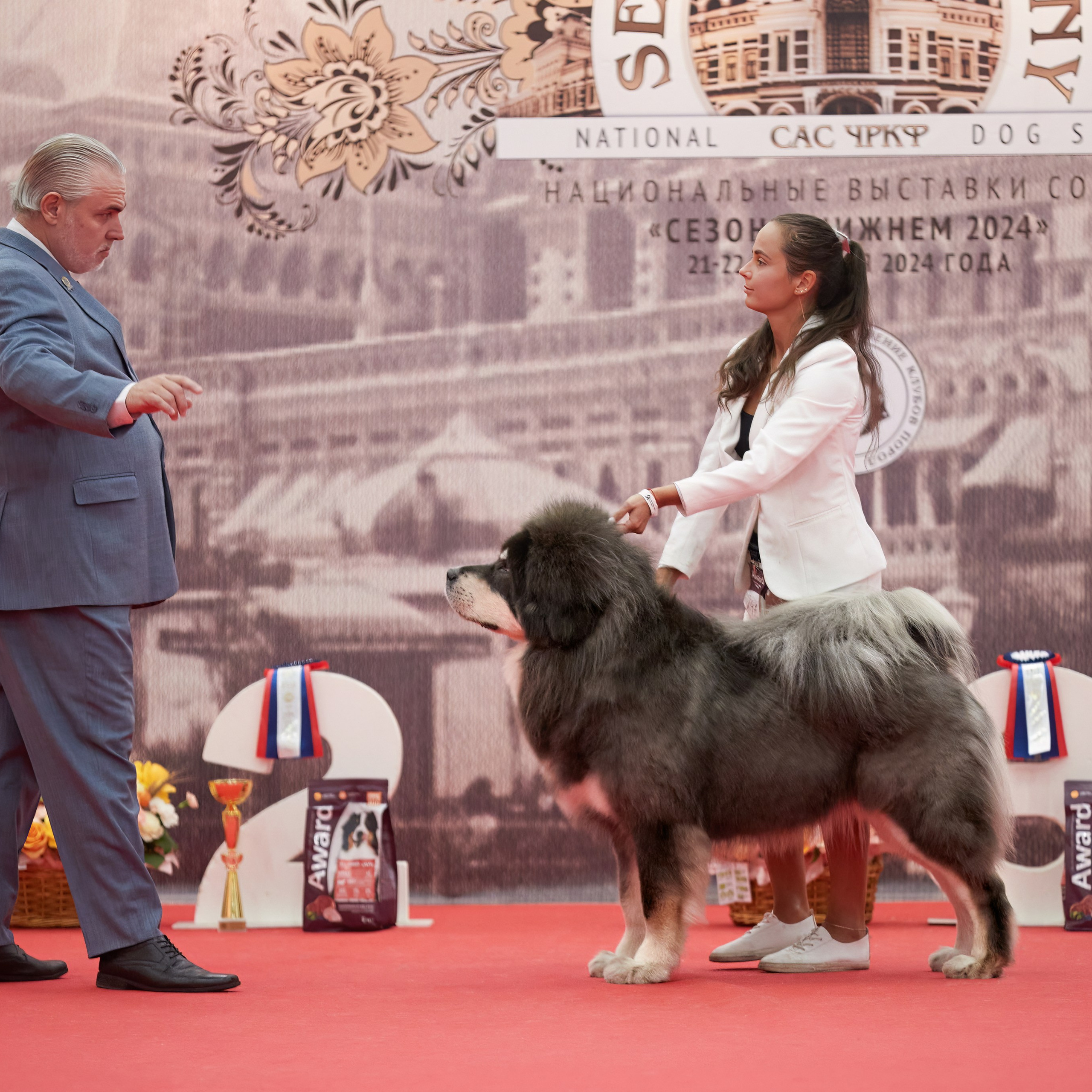 «СЕЗОН В НИЖНЕМ» НИЖНИЙ НОВГОРОД-2024. ФОТОГРАФ-АНИМАЛИСТ l LANA POLYAKOVA