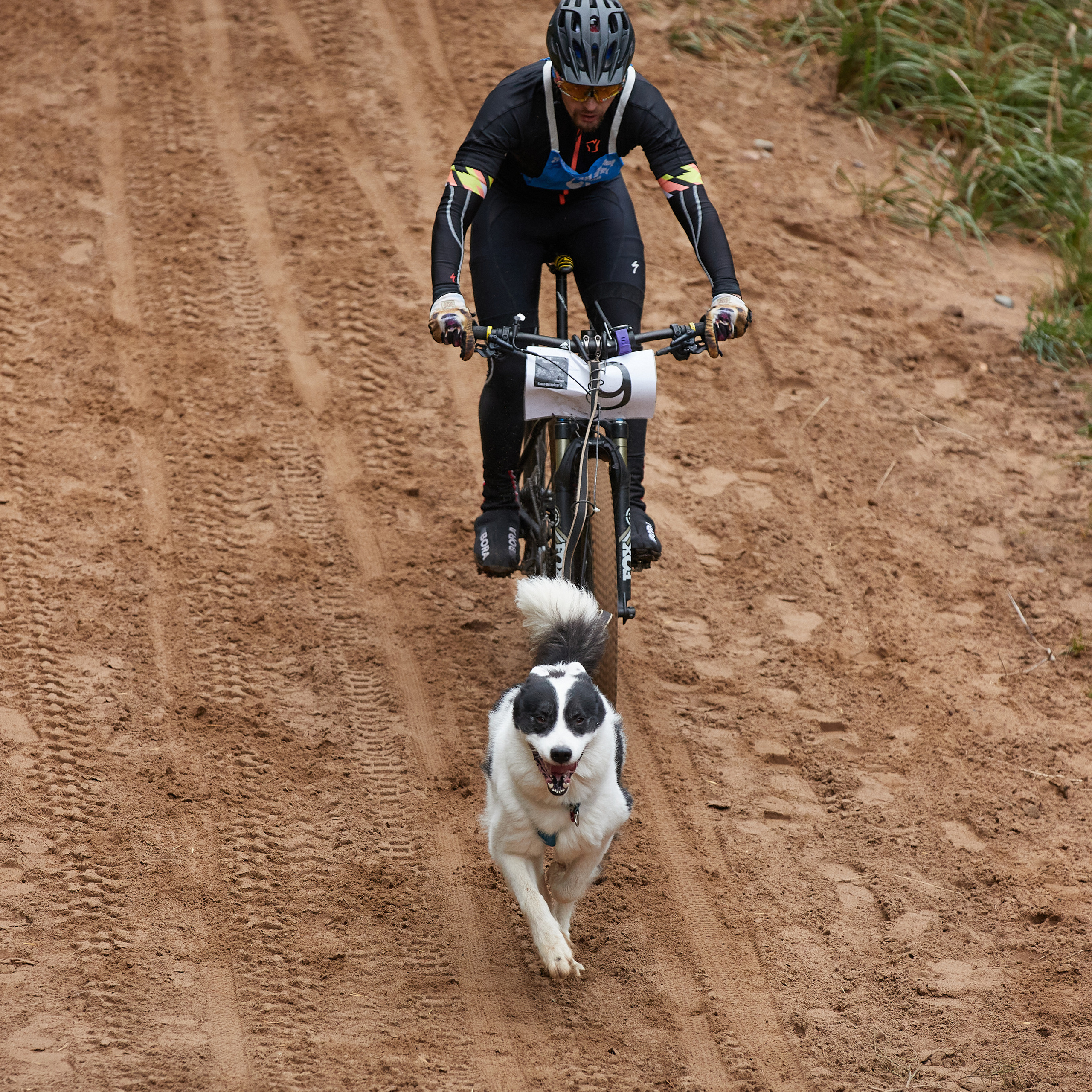 ЧЕМПИОНАТ РОССИИ РКФ 25–26 сентября 2021 г. ФОТОГРАФ-АНИМАЛИСТ l LANA POLYAKOVA