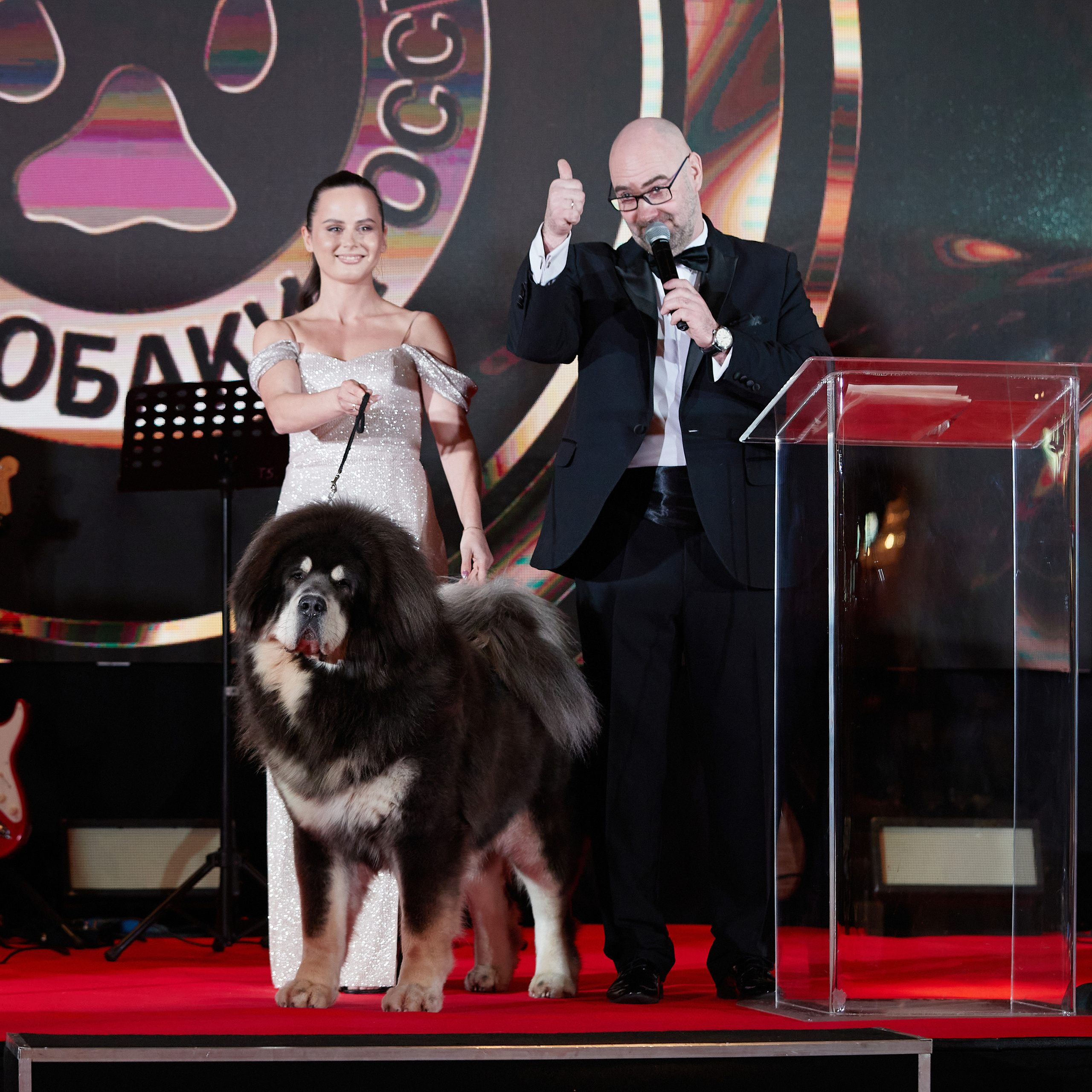 Репортаж с церемонии «BEST RUSSIAN DOG 2022». ФОТОГРАФ-АНИМАЛИСТ l LANA POLYAKOVA