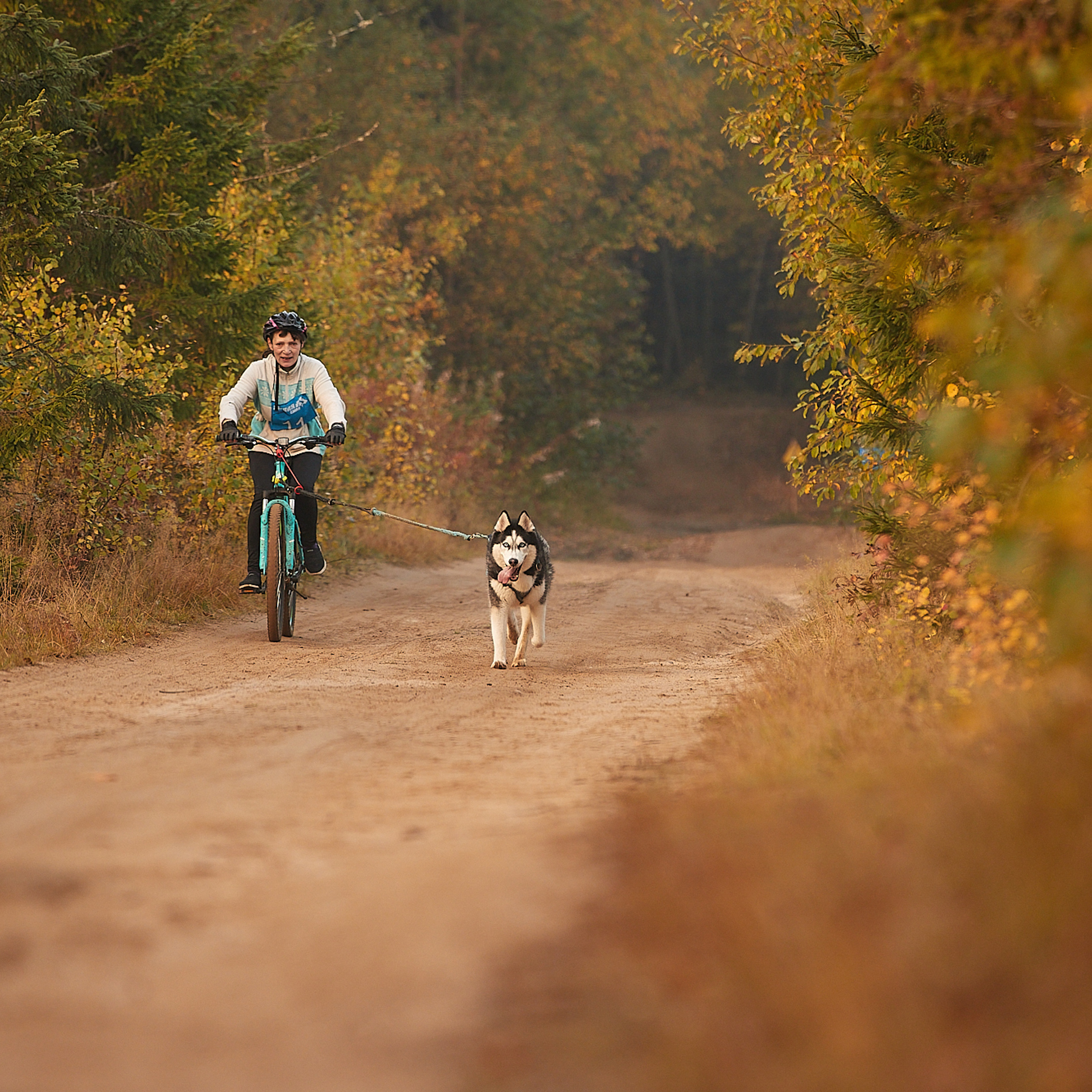ЧЕМПИОНАТ РОССИИ РКФ 27 сентября 2020 г., 2й день. ФОТОГРАФ-АНИМАЛИСТ l LANA POLYAKOVA