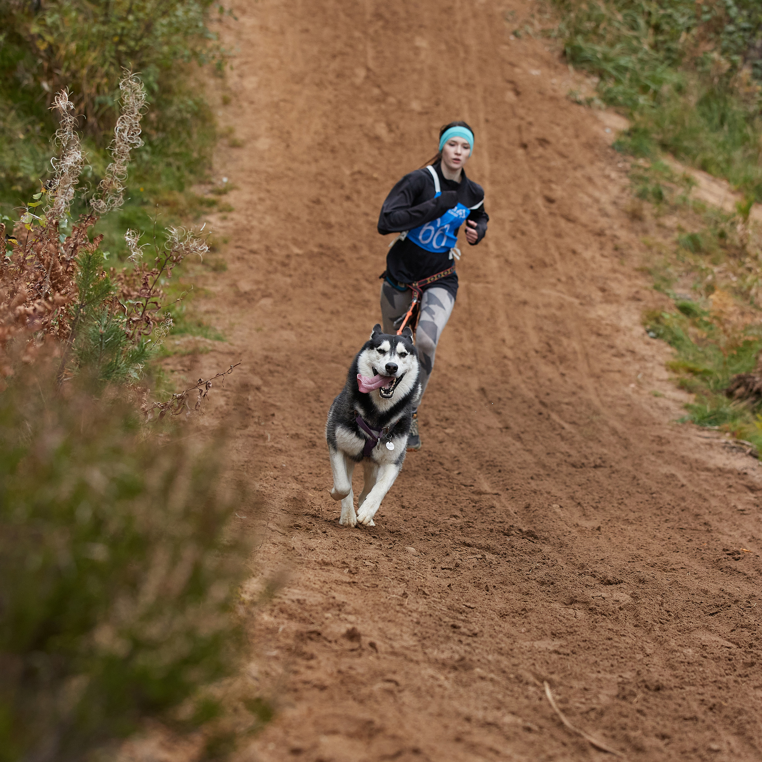 ЧЕМПИОНАТ РОССИИ РКФ 25–26 сентября 2021 г. ФОТОГРАФ-АНИМАЛИСТ l LANA POLYAKOVA