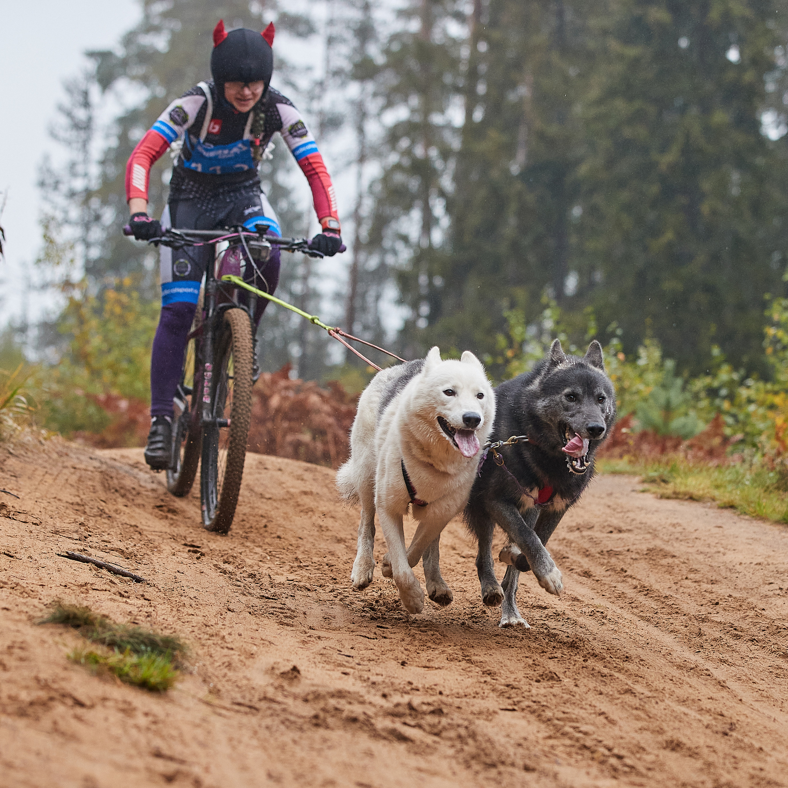 ЧЕМПИОНАТ РОССИИ РКФ 25–26 сентября 2021 г. ФОТОГРАФ-АНИМАЛИСТ l LANA POLYAKOVA