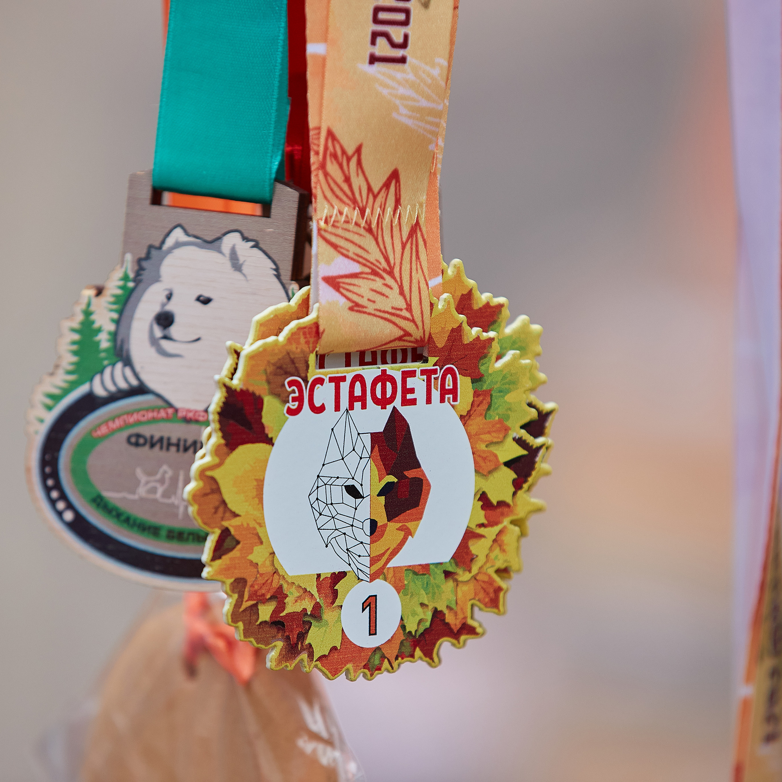 ЧЕМПИОНАТ РОССИИ РКФ 25–26 сентября 2021 г. ФОТОГРАФ-АНИМАЛИСТ l LANA POLYAKOVA