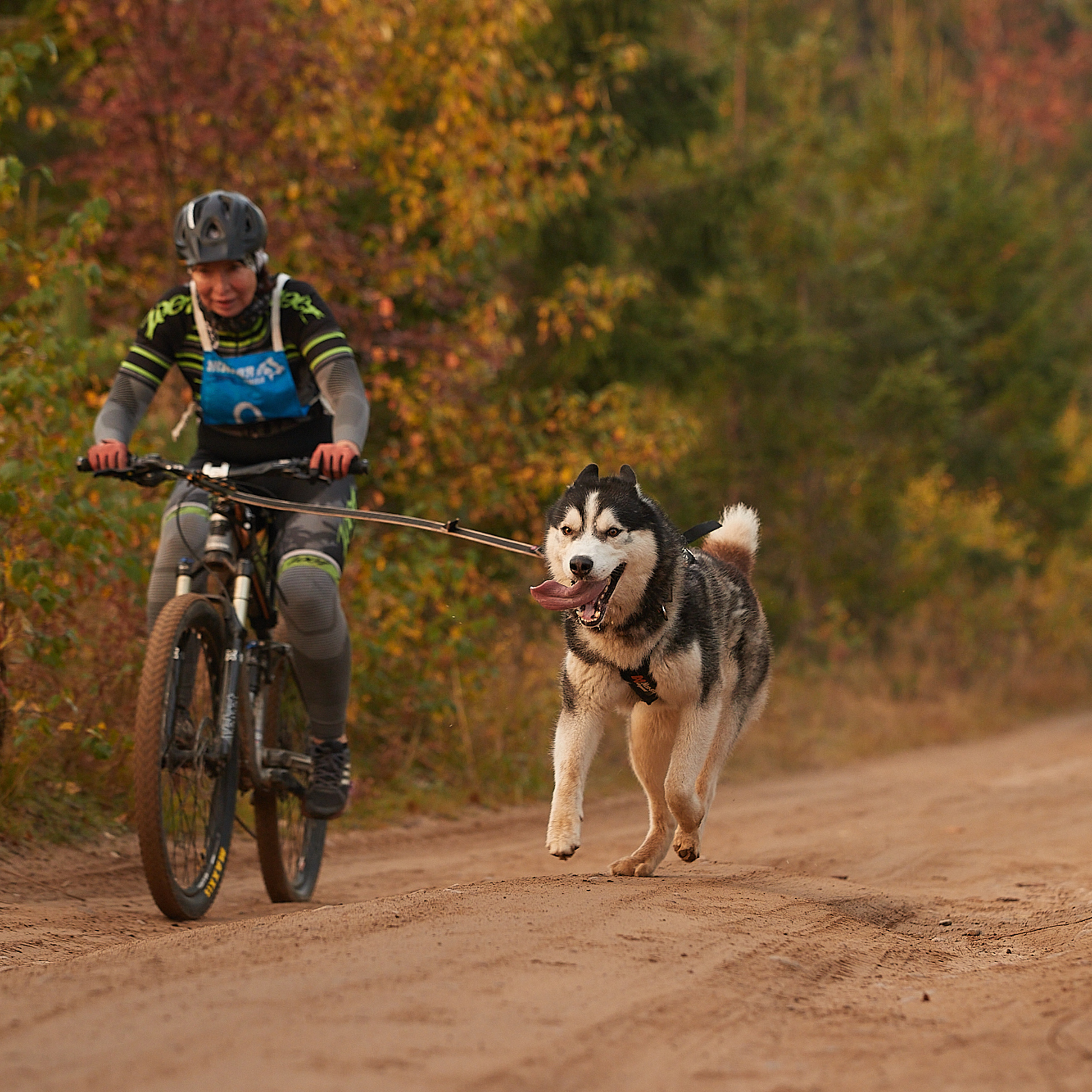 ЧЕМПИОНАТ РОССИИ РКФ 27 сентября 2020 г., 2й день. ФОТОГРАФ-АНИМАЛИСТ l LANA POLYAKOVA