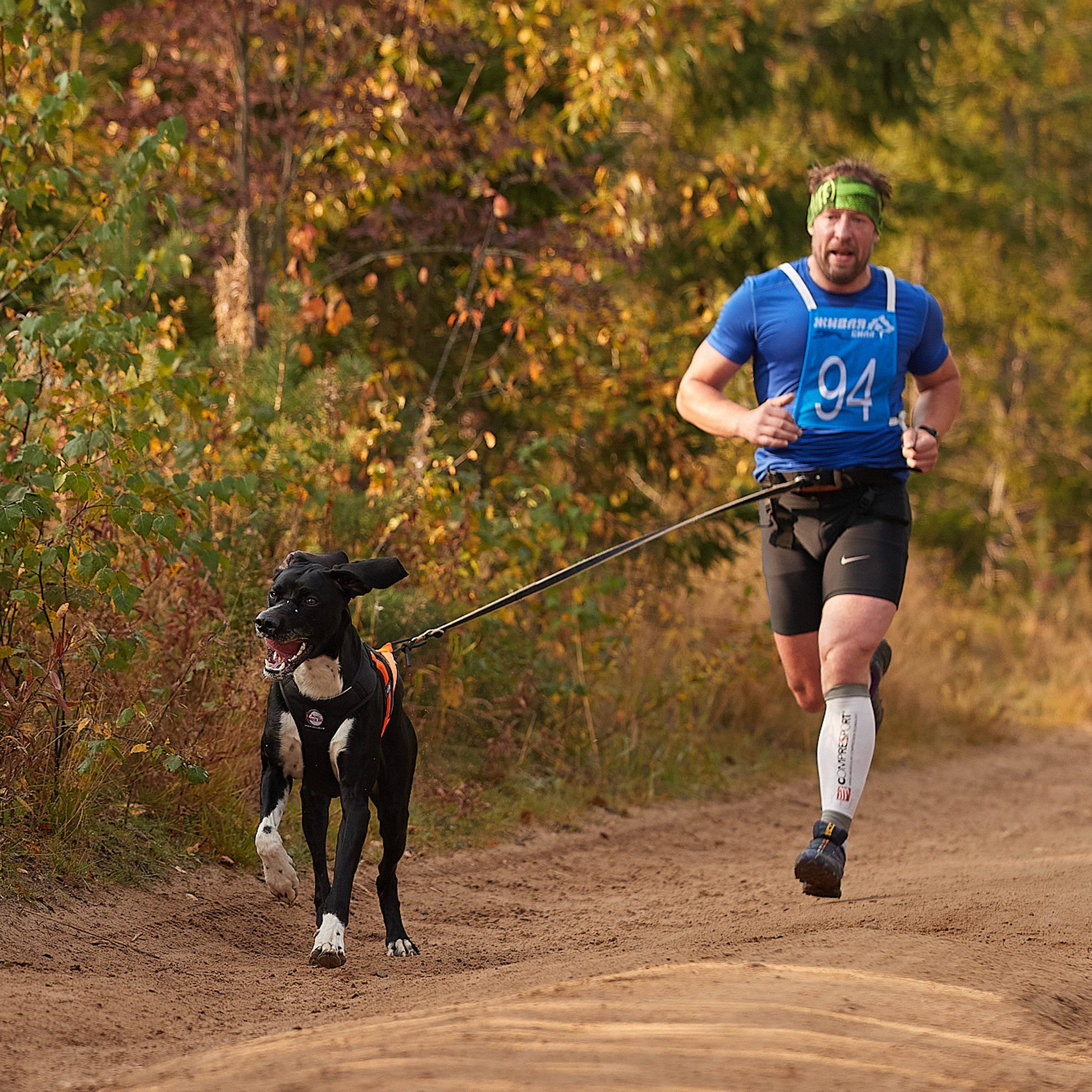ЧЕМПИОНАТ РОССИИ РКФ 27 сентября 2020 г., 2й день. ФОТОГРАФ-АНИМАЛИСТ l LANA POLYAKOVA